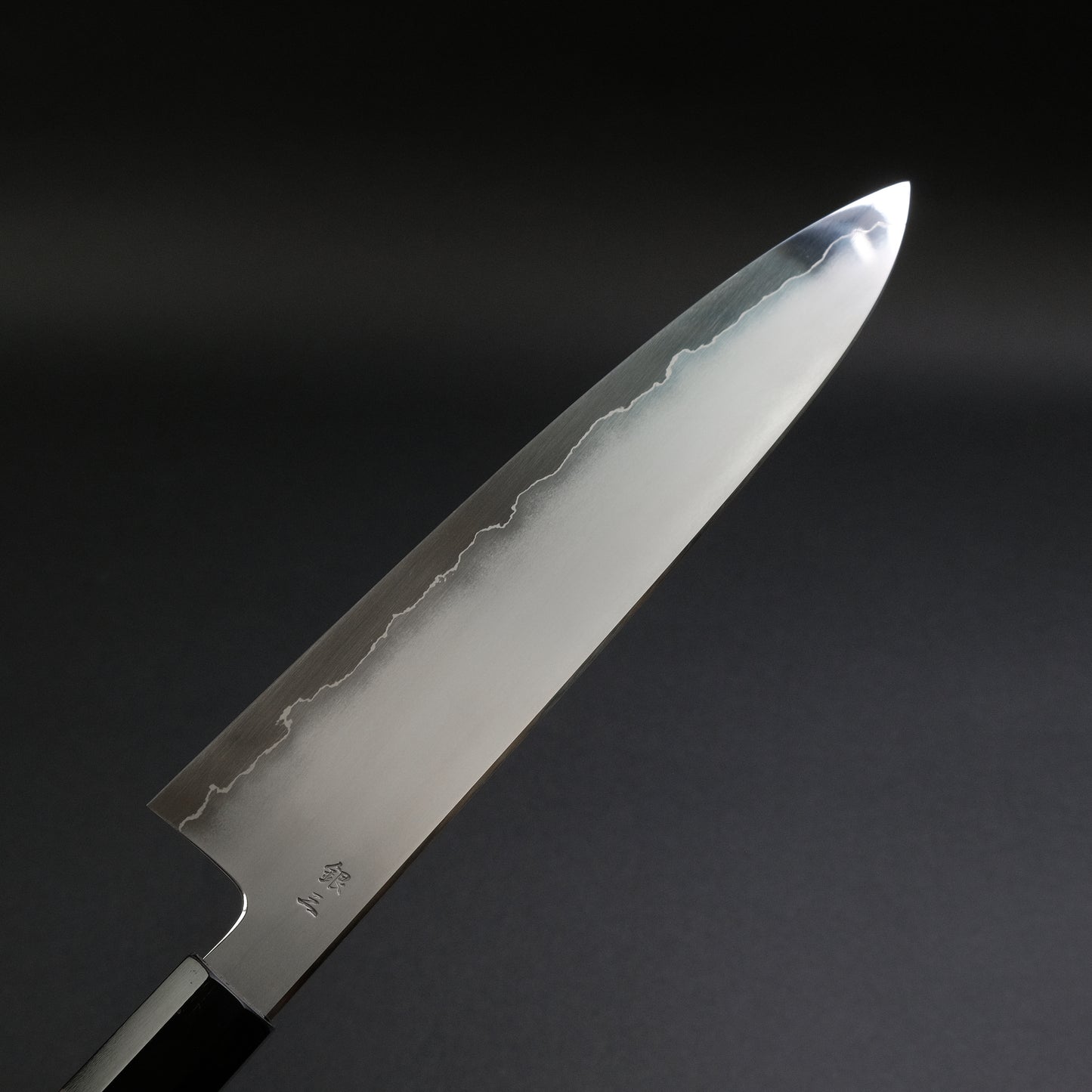 Tetsujin Silver #3 Kasumi Gyuto 240mm Taihei Tagayasan Handle