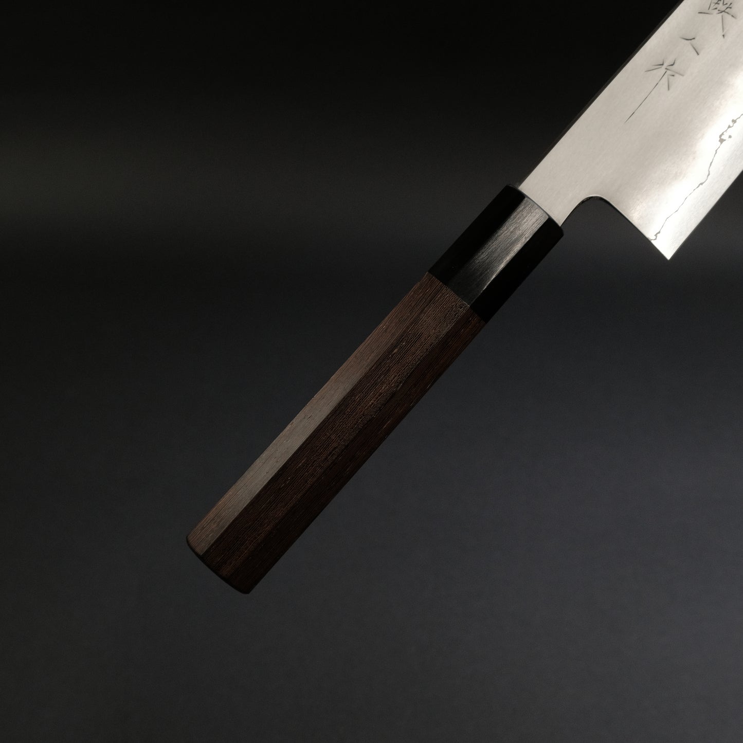 Tetsujin Silver #3 Kasumi Gyuto 240mm Taihei Tagayasan Handle