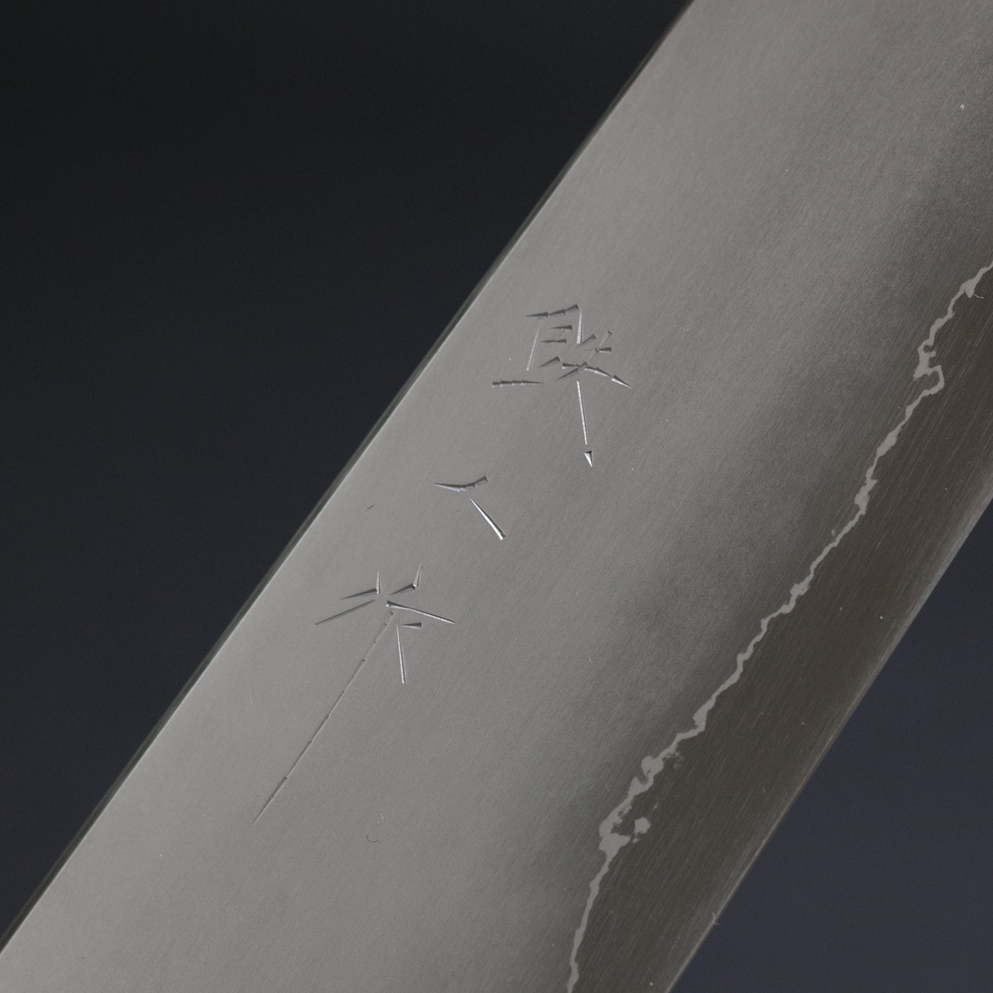 Tetsujin Silver #3 Kasumi Gyuto 240mm Taihei Tagayasan Handle