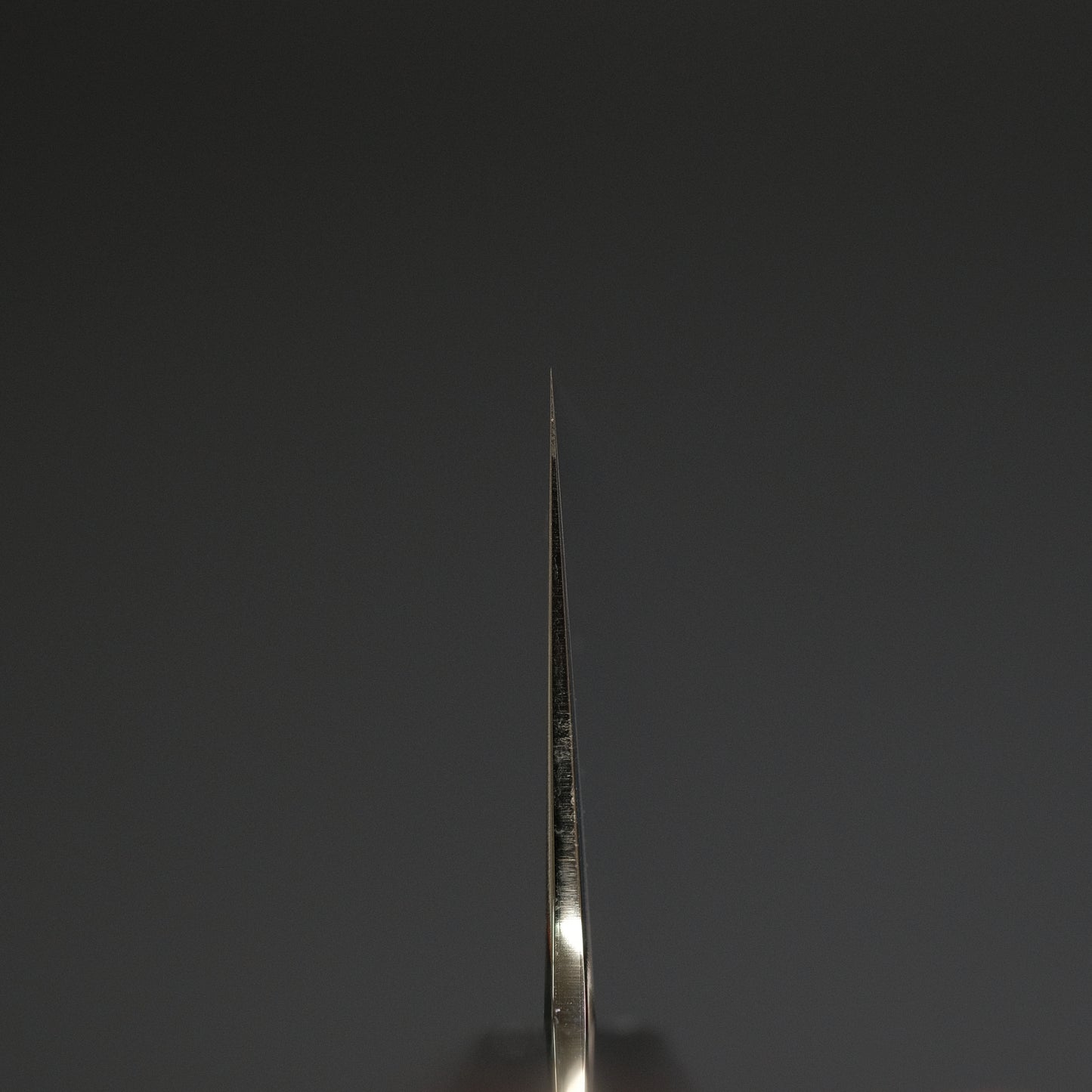 Tetsujin Silver #3 Kasumi Gyuto 240mm Taihei Tagayasan Handle