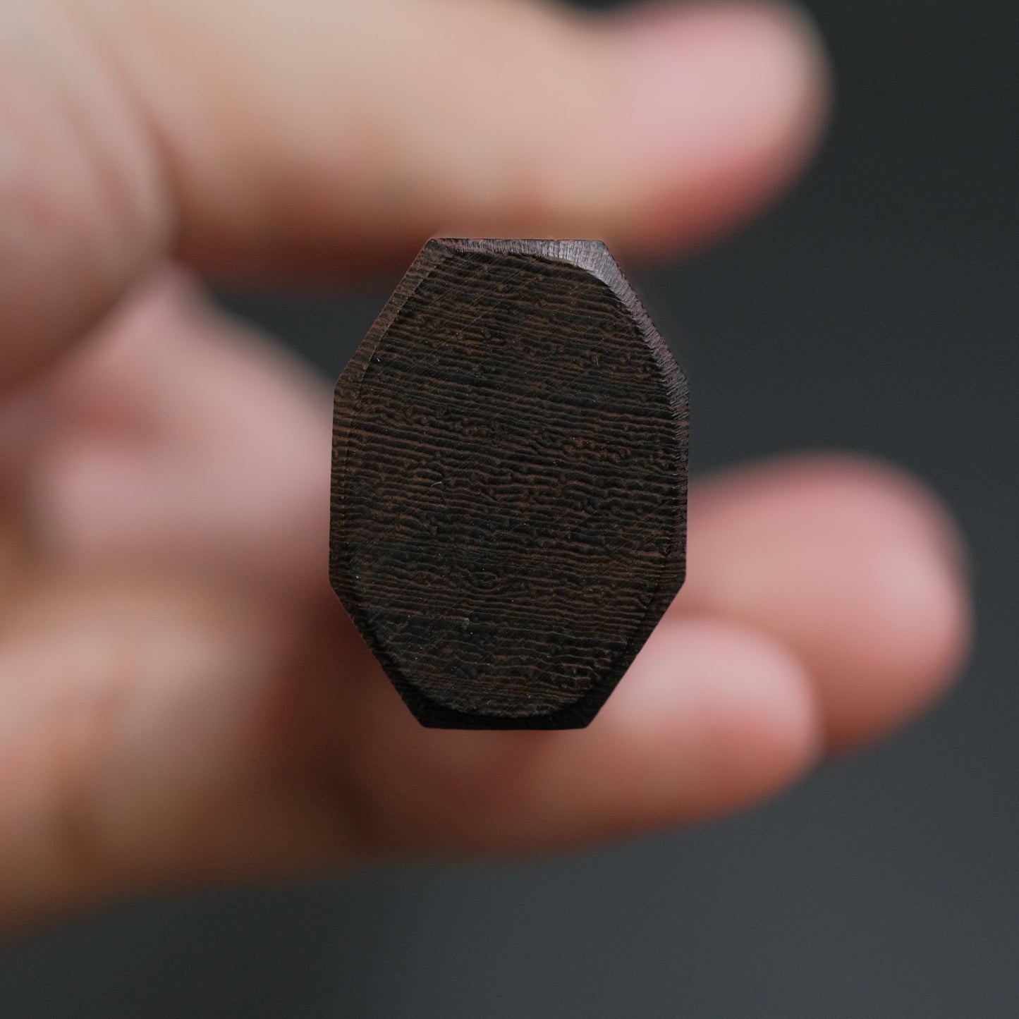 Tetsujin Silver #3 Kasumi Gyuto 240mm Taihei Tagayasan Handle