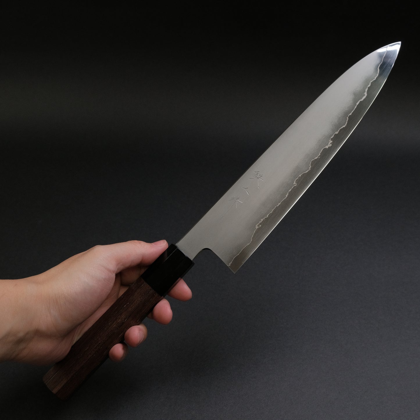 Tetsujin Silver #3 Kasumi Gyuto 240mm Taihei Tagayasan Handle