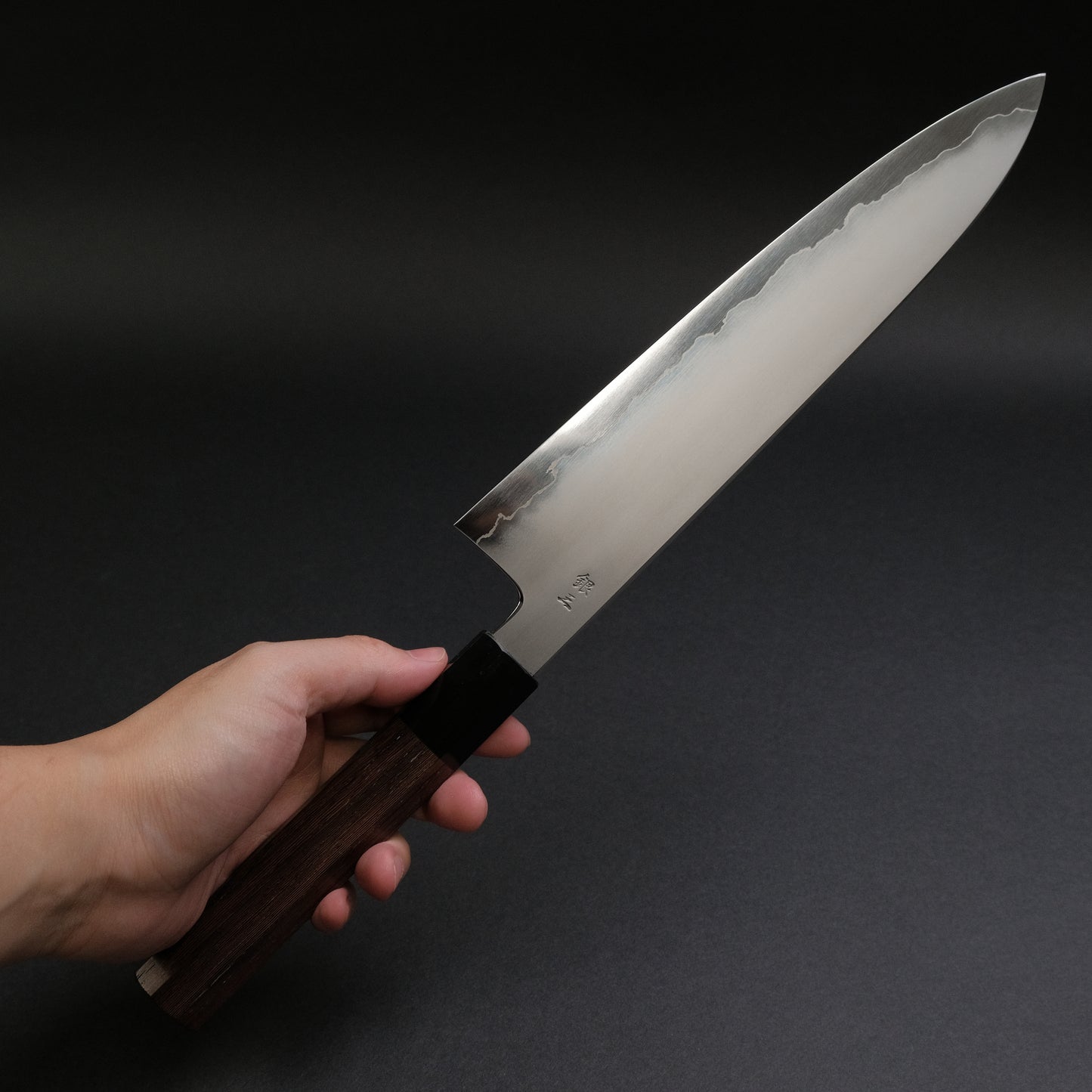 Tetsujin Silver #3 Kasumi Gyuto 240mm Taihei Tagayasan Handle