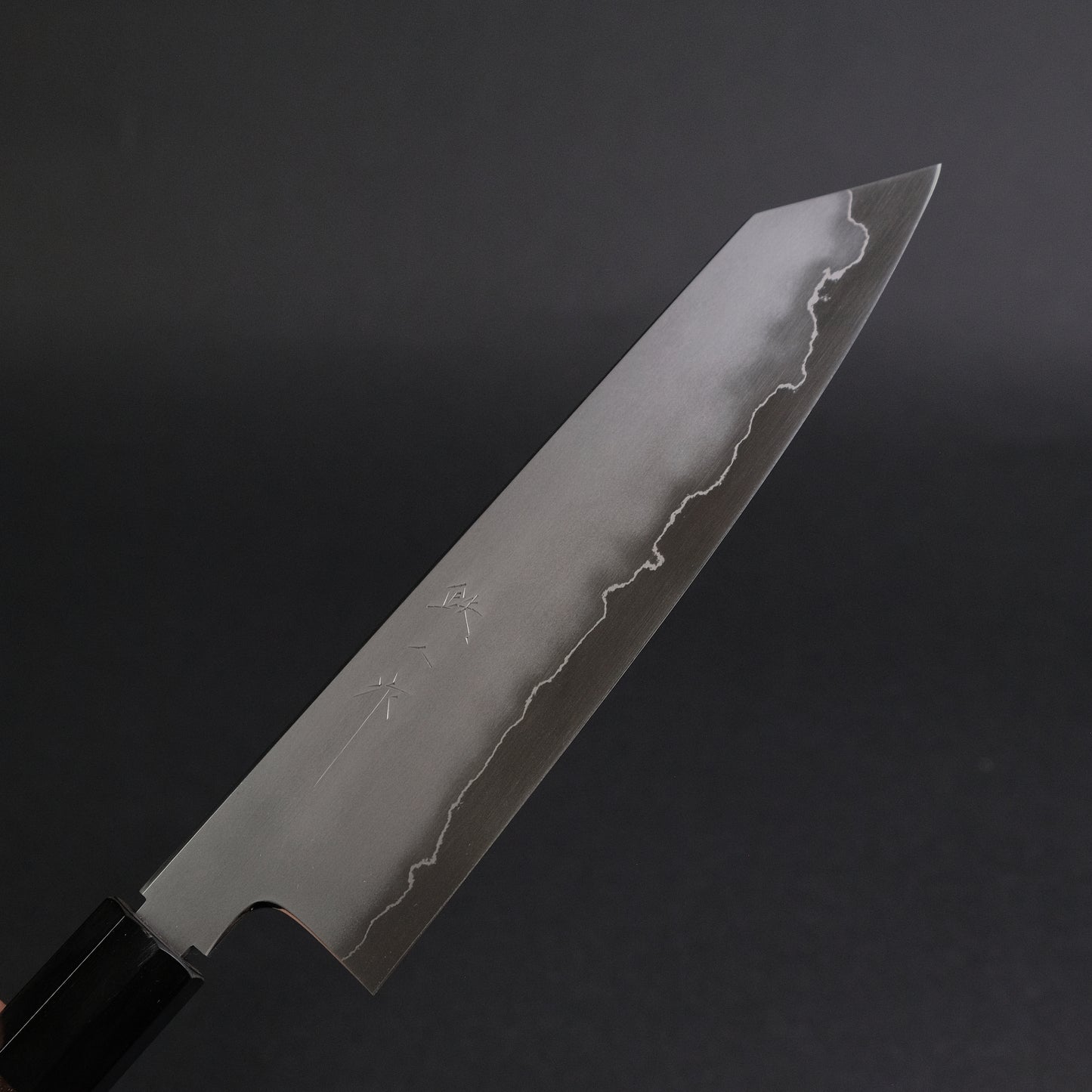 Tetsujin Silver #3 Kasumi Kiritsuke Gyuto 210mm Taihei Makassar Ebony Handle