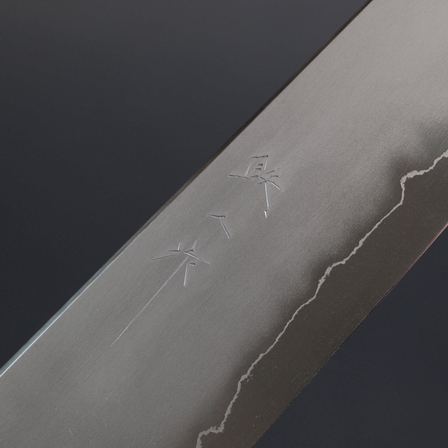 Tetsujin Silver #3 Kasumi Kiritsuke Gyuto 210mm Taihei Makassar Ebony Handle