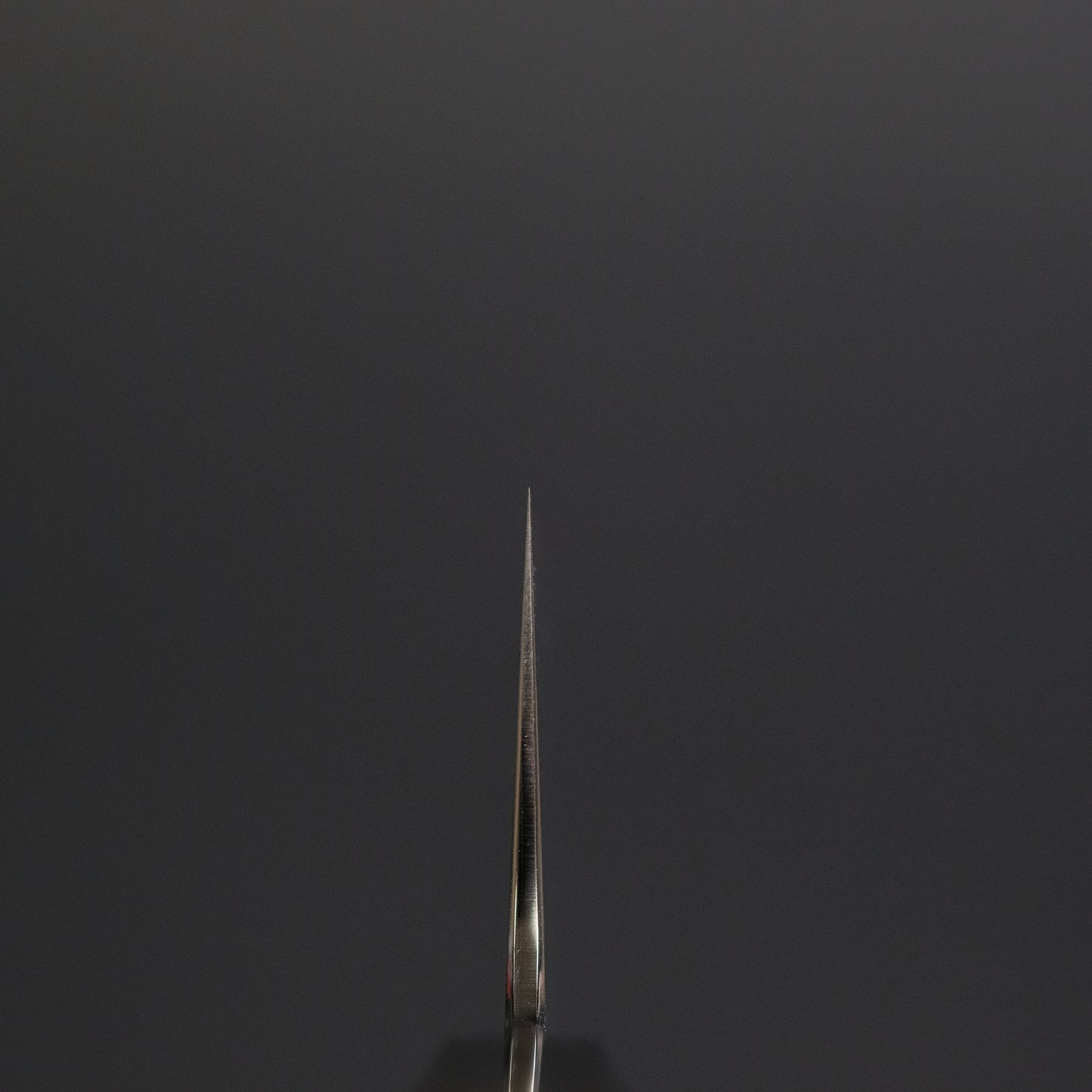 Tetsujin Silver #3 Kasumi Kiritsuke Gyuto 210mm Taihei Makassar Ebony Handle