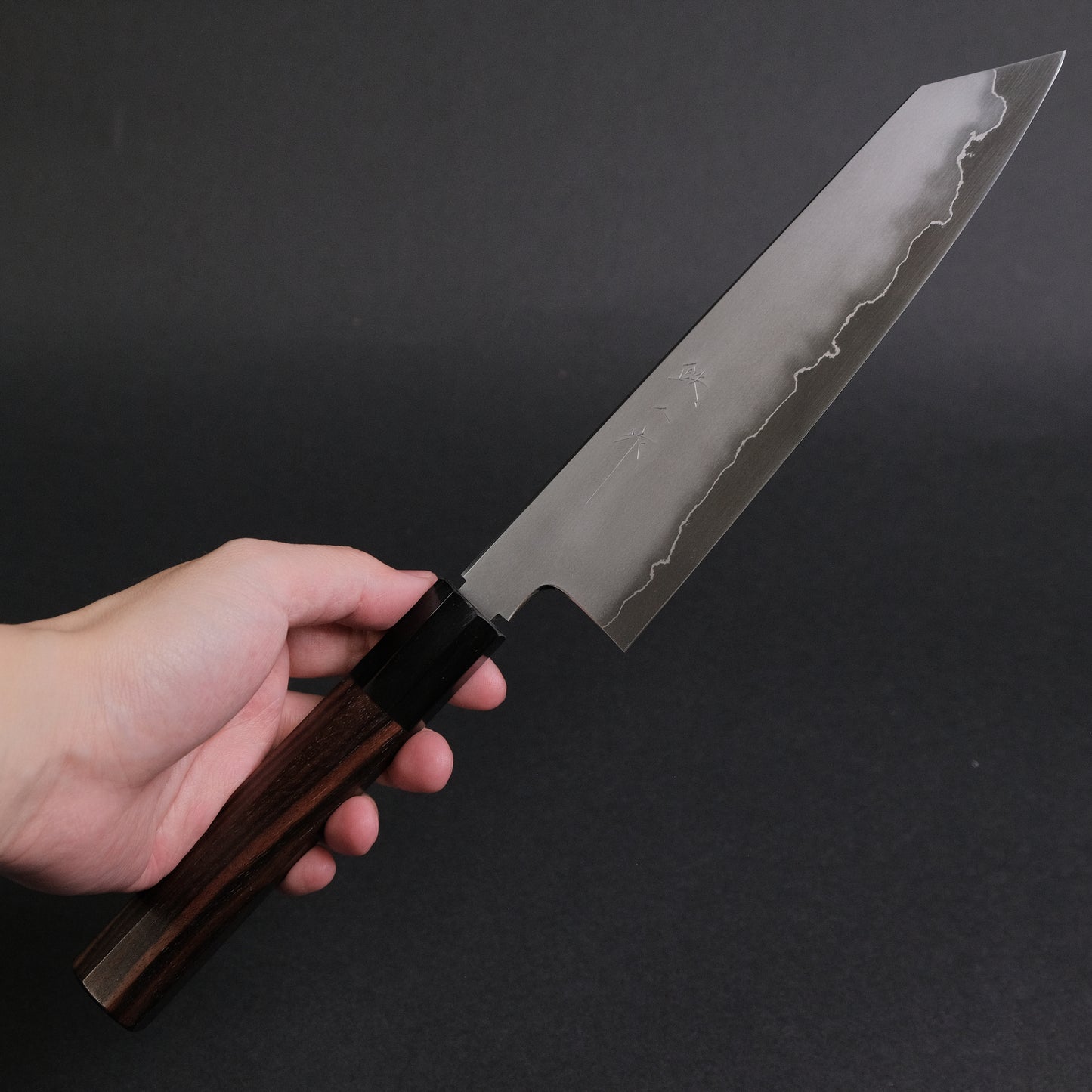 Tetsujin Silver #3 Kasumi Kiritsuke Gyuto 210mm Taihei Makassar Ebony Handle