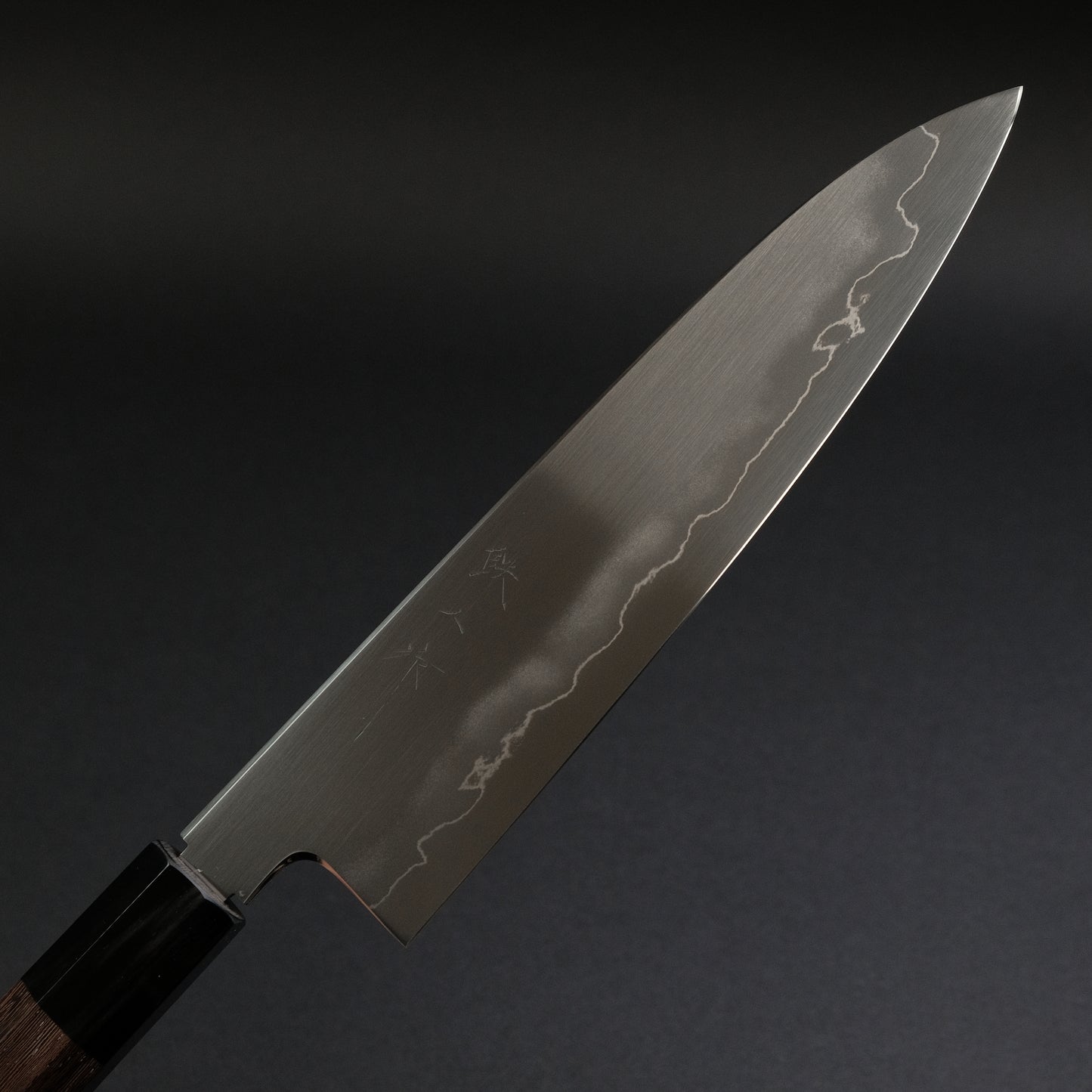 Tetsujin Silver #3 Ukiba Gyuto 210mm Taihei Tagayasan Handle