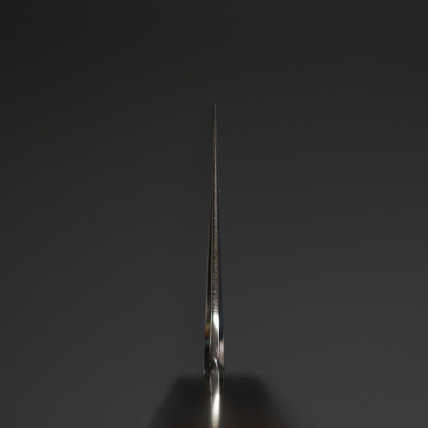 Tetsujin Silver #3 Ukiba Gyuto 210mm Taihei Tagayasan Handle