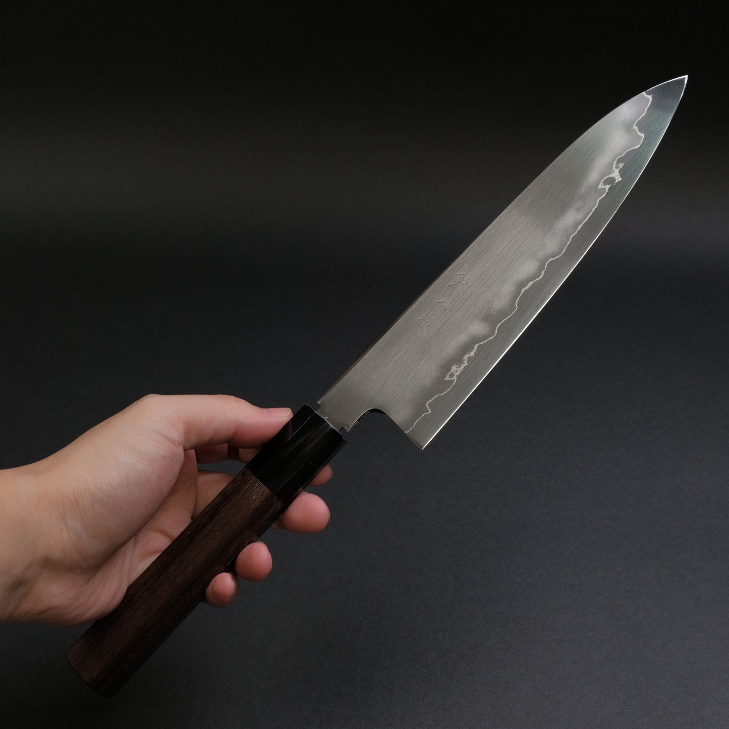 Tetsujin Silver #3 Ukiba Gyuto 210mm Taihei Tagayasan Handle