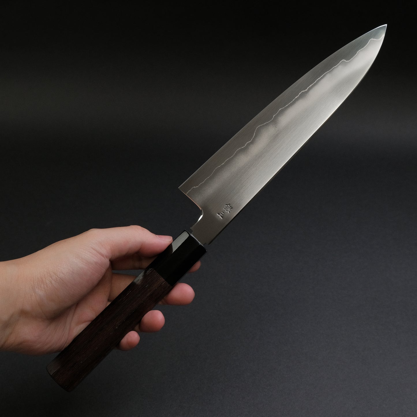 Tetsujin Silver #3 Ukiba Gyuto 210mm Taihei Tagayasan Handle