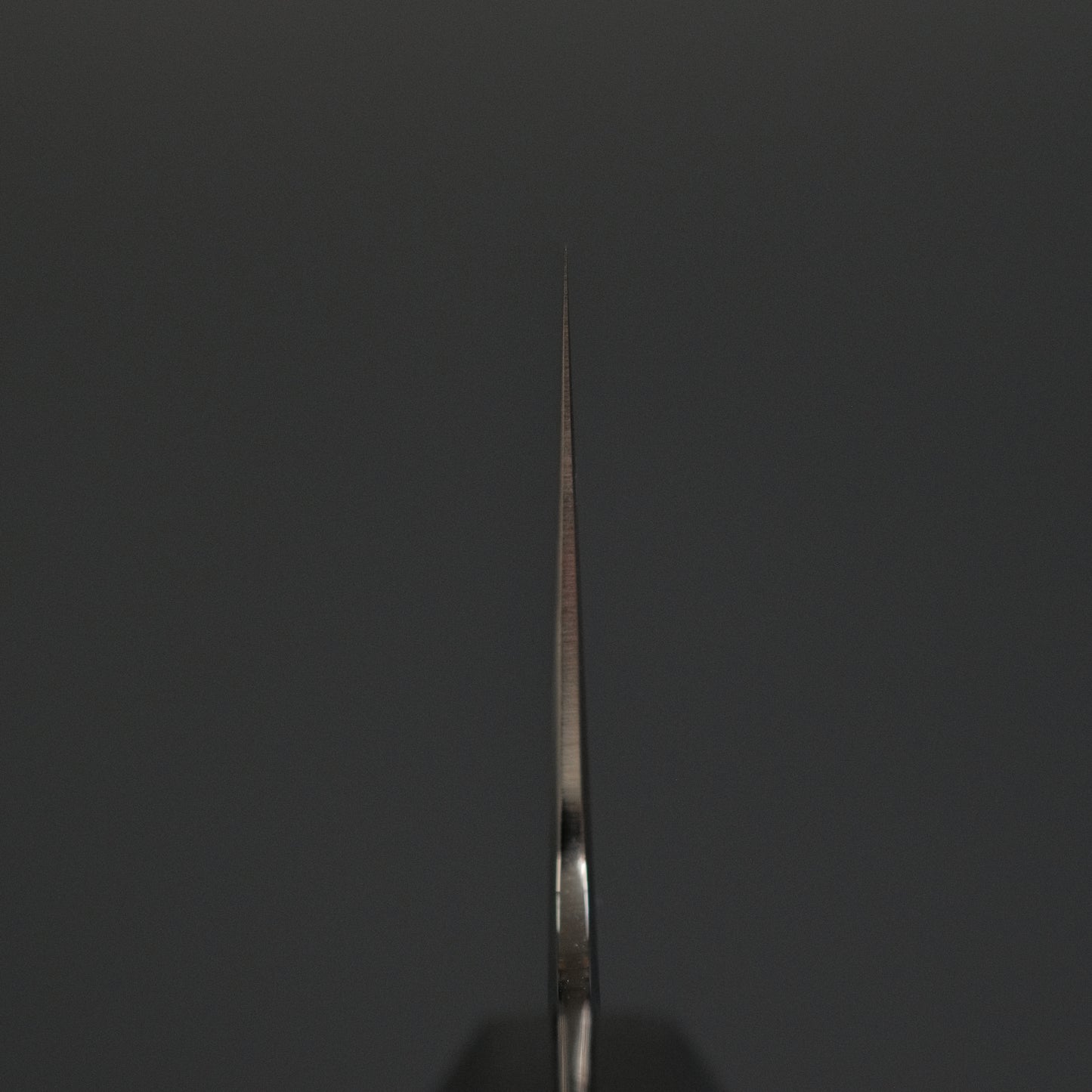 Tetsujin Silver #3 Ukiba Gyuto 240mm Taihei Makassar Ebony Handle
