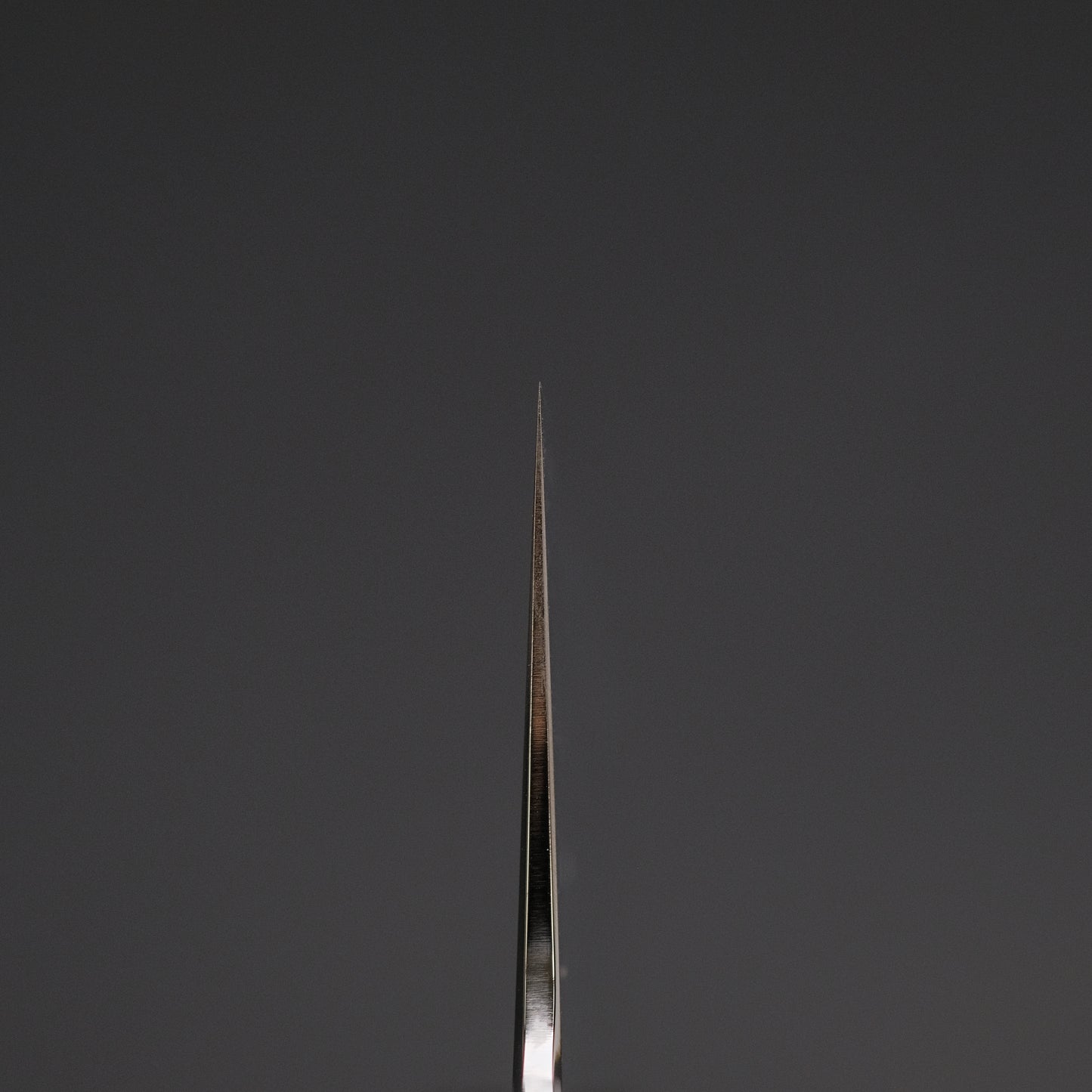 Tetsujin Silver #3 Ukiba Gyuto 240mm Yakusugi Cedar Handle