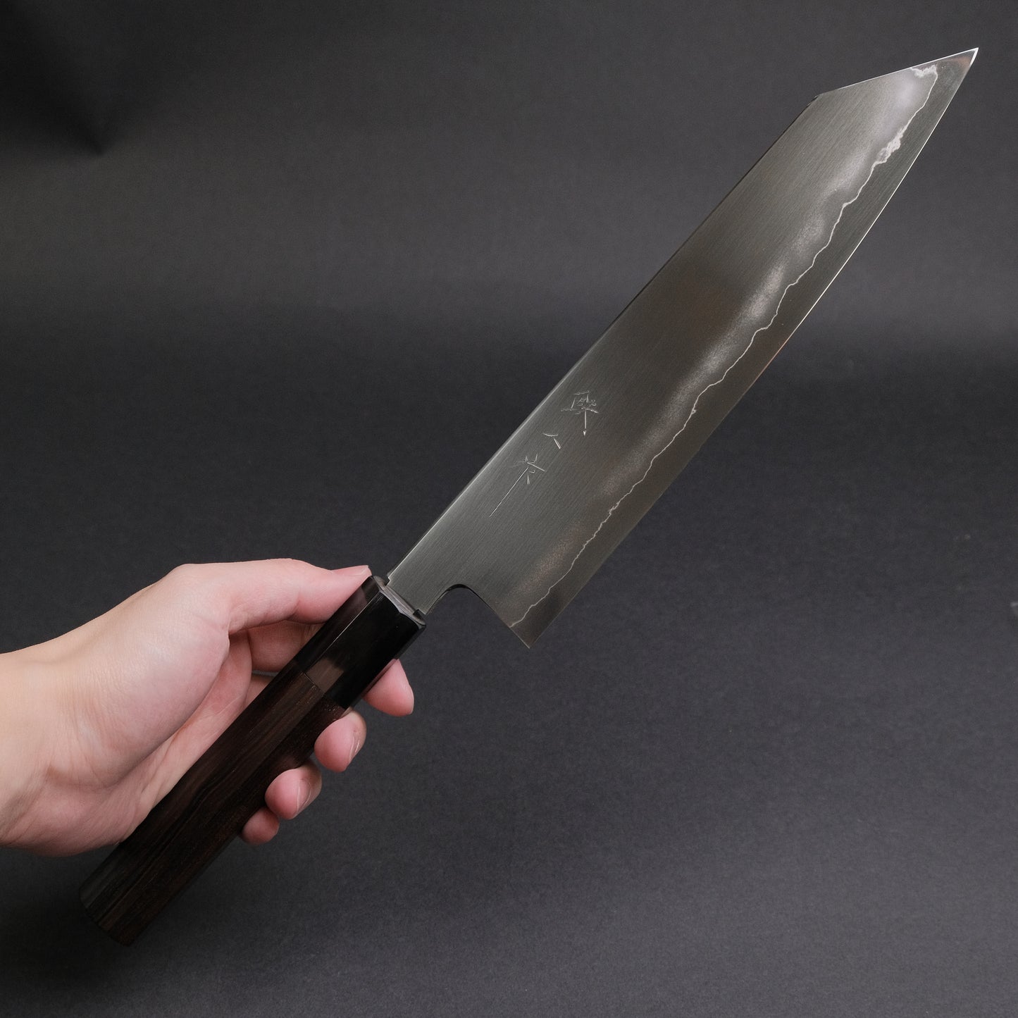 Tetsujin Silver #3 Ukiba Kiritsuke Gyuto 240mm Taihei Makassar Ebony Handle