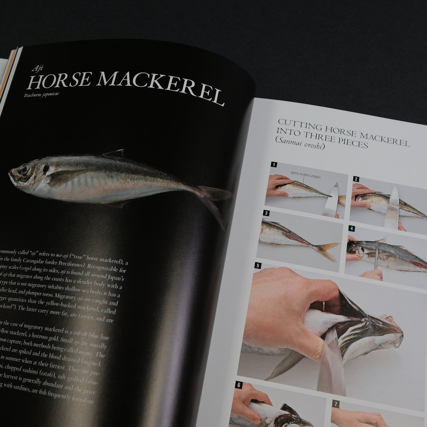The Japanese Culinary Academy MUKOITA II, Cutting Techniques: Seafoods, Poultry, and Vegetables (English)