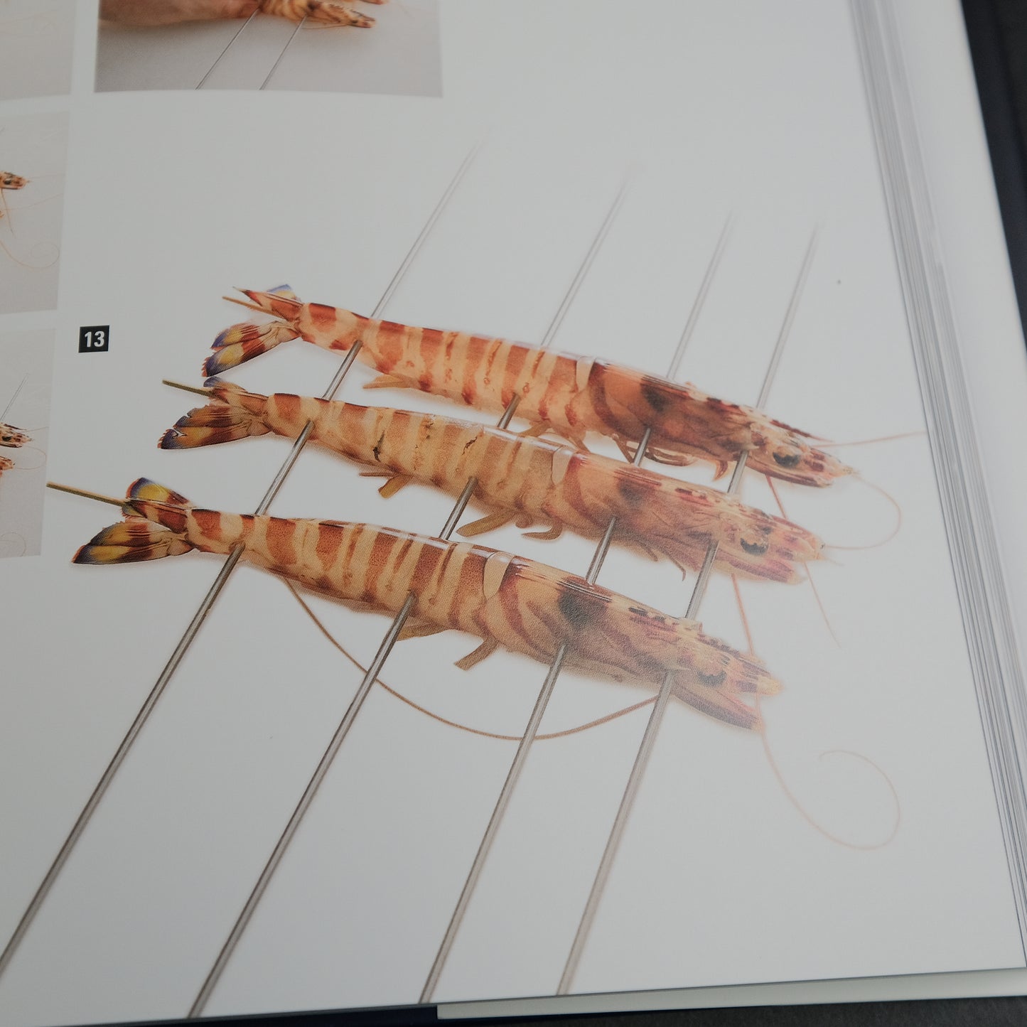 The Japanese Culinary Academy MUKOITA II, Cutting Techniques: Seafoods, Poultry, and Vegetables (English)
