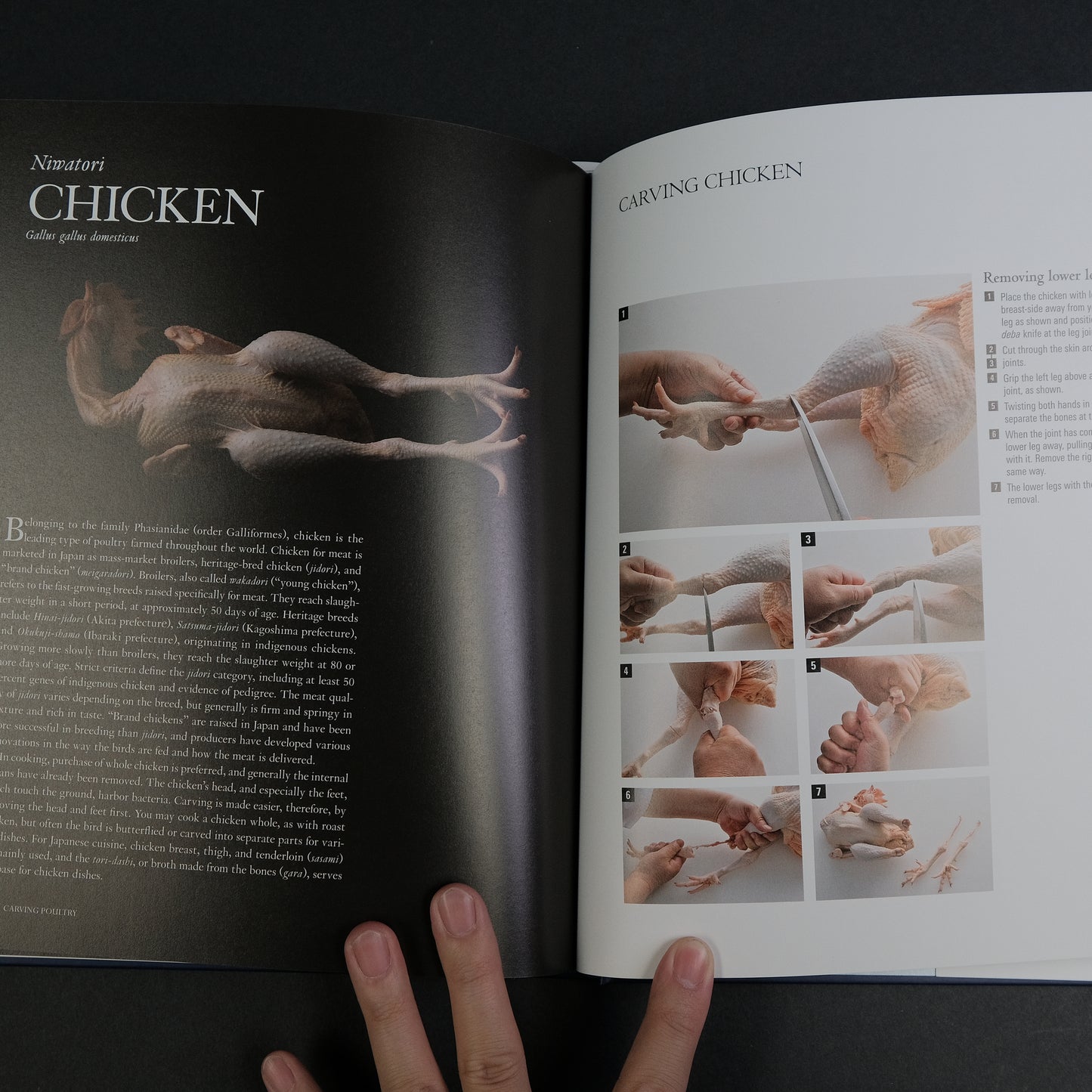 The Japanese Culinary Academy MUKOITA II, Cutting Techniques: Seafoods, Poultry, and Vegetables (English)