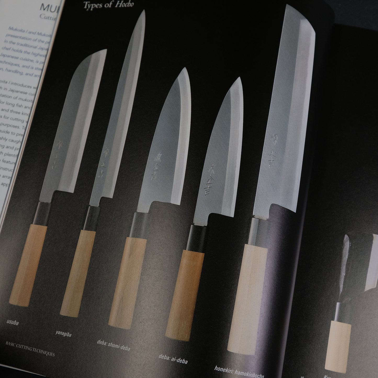 The Japanese Culinary Academy MUKOITA II, Cutting Techniques: Seafoods, Poultry, and Vegetables (English)