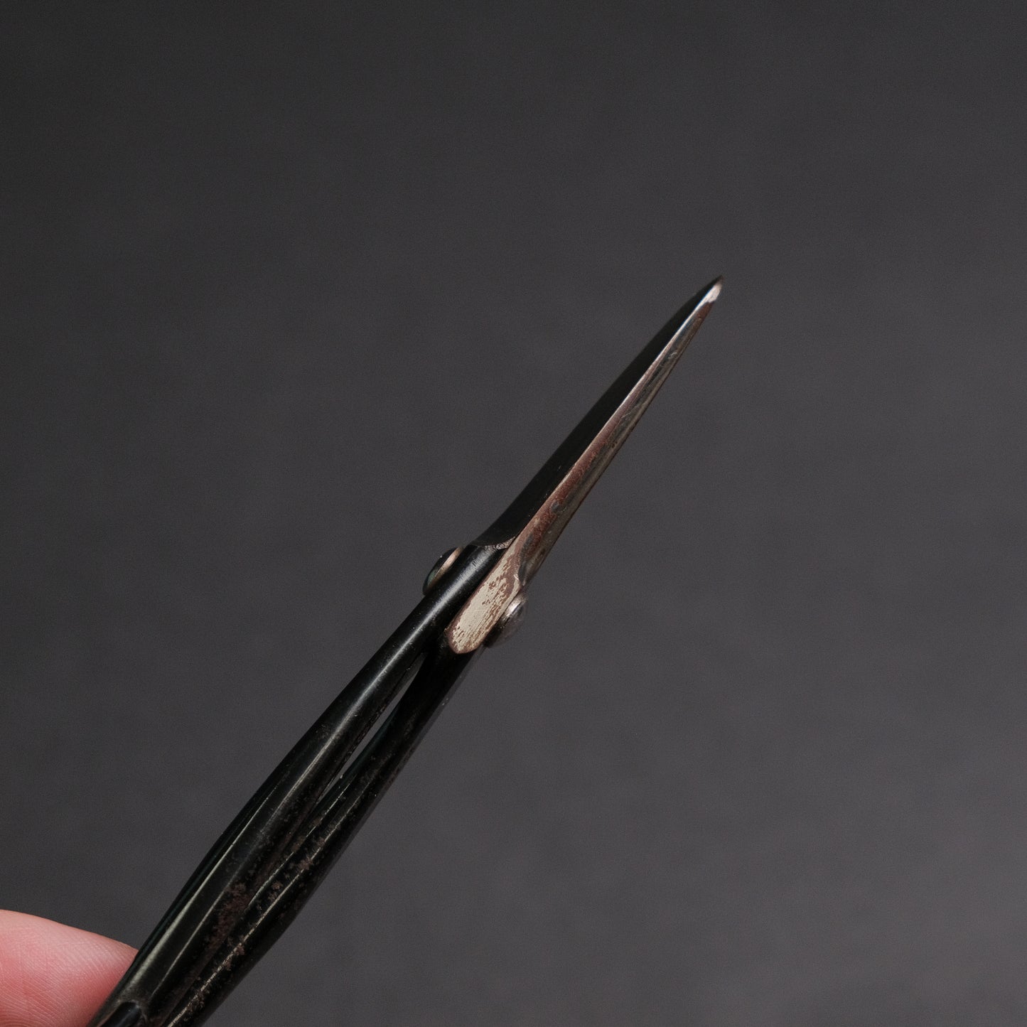 Masakuni Bonsai Tools