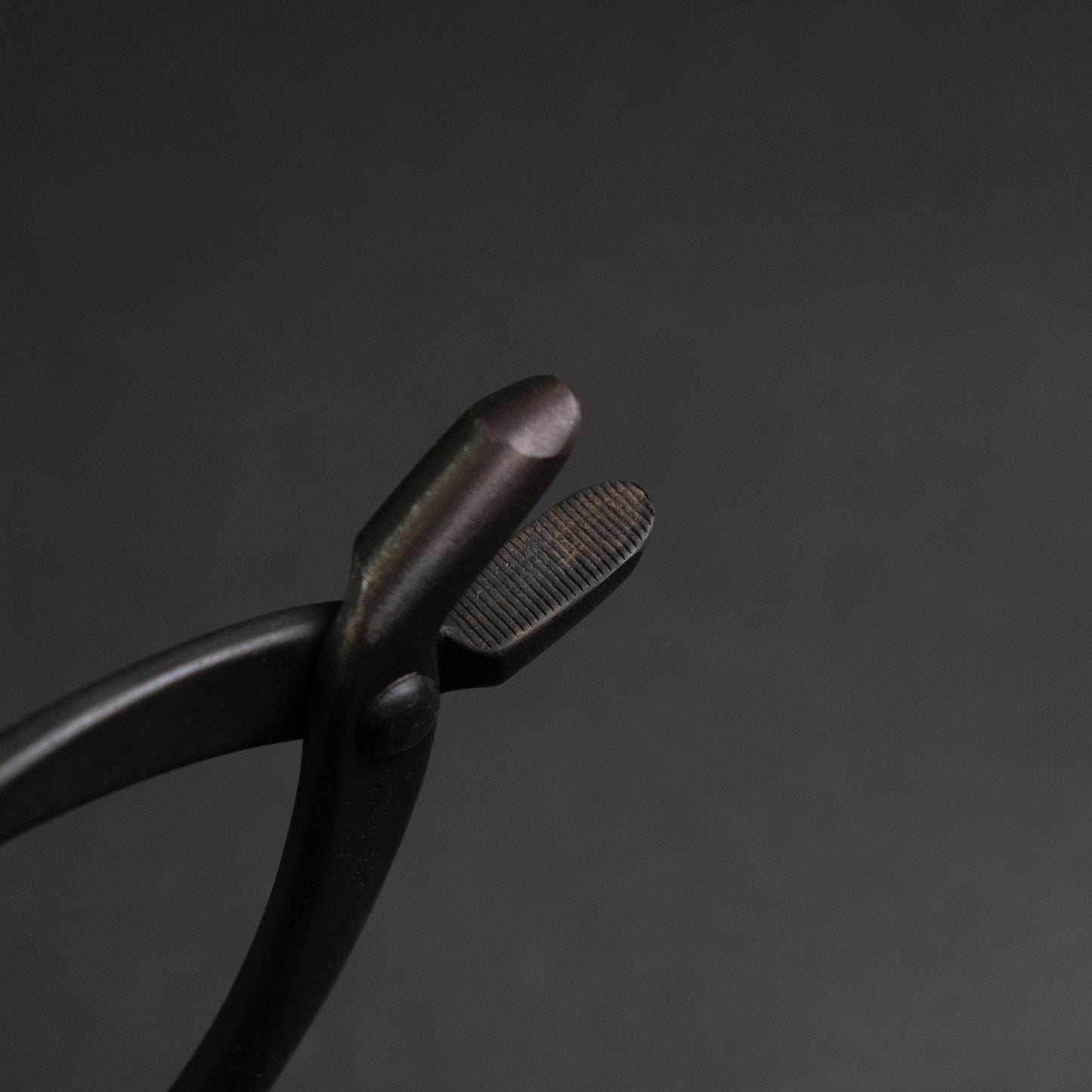 Masakuni Bonsai Tools