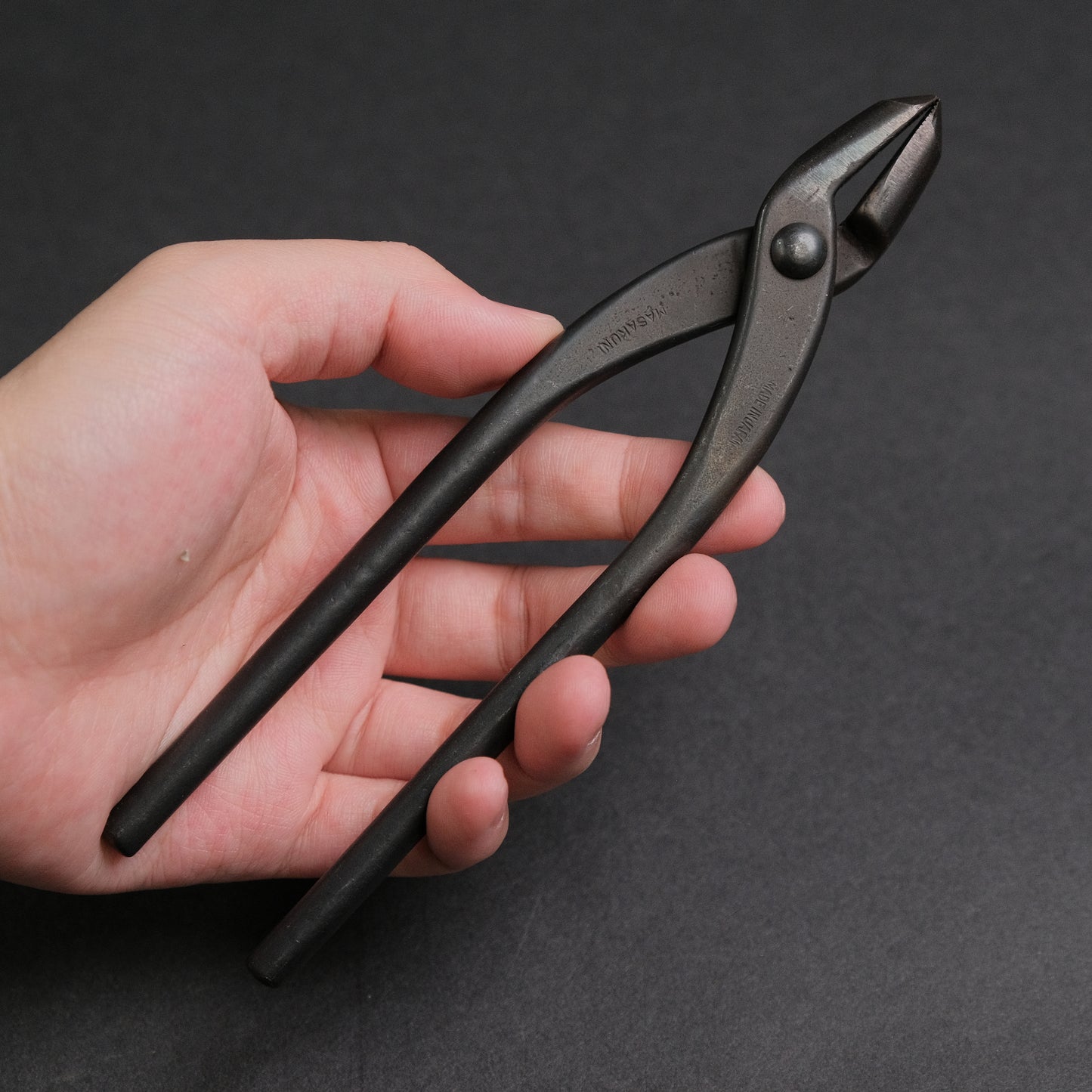Masakuni Bonsai Tools
