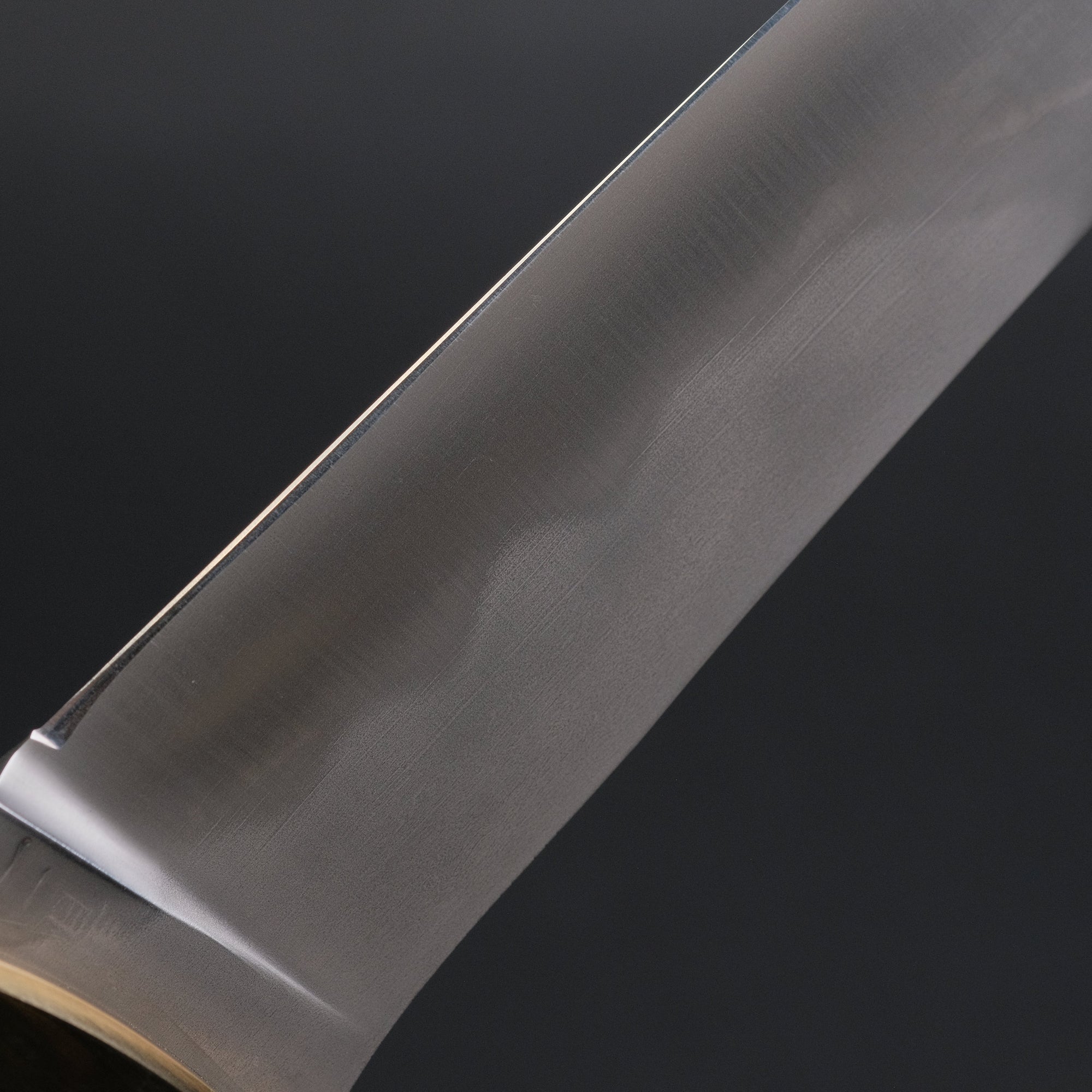 Fixed Blades