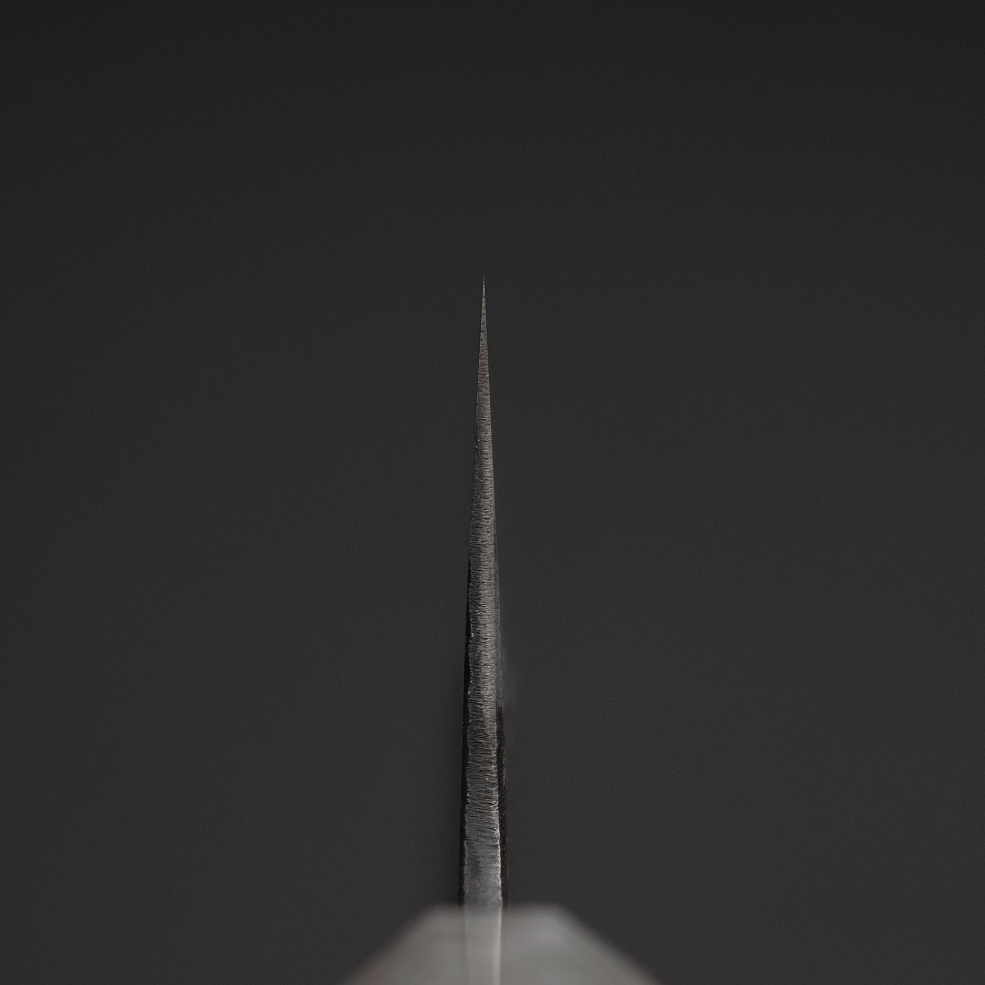 Ajikataya White 