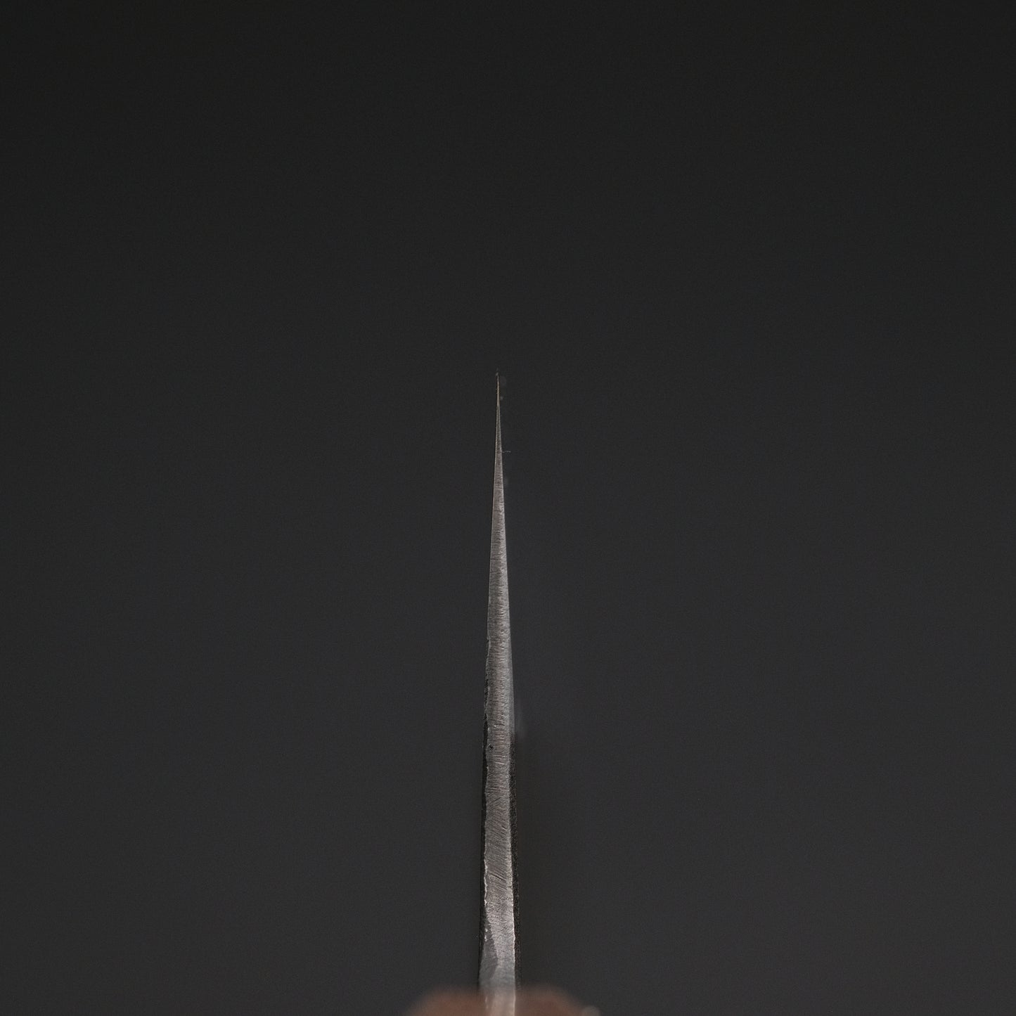 Ajikataya White #2 Matsuba Damascus Gyuto 240 Obankole Handle (#09)