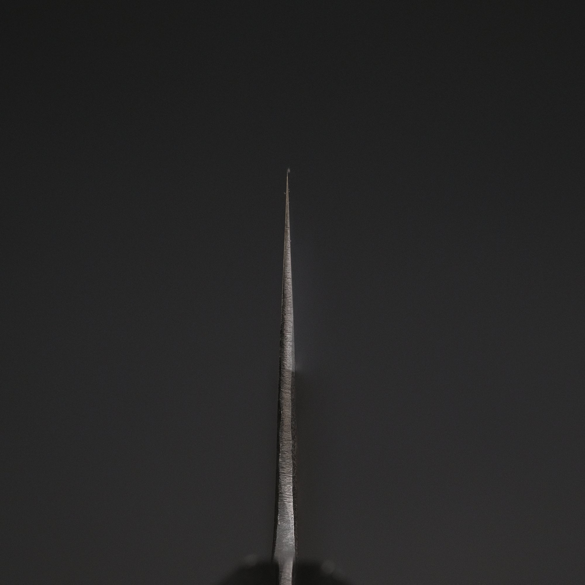 Ajikataya White 