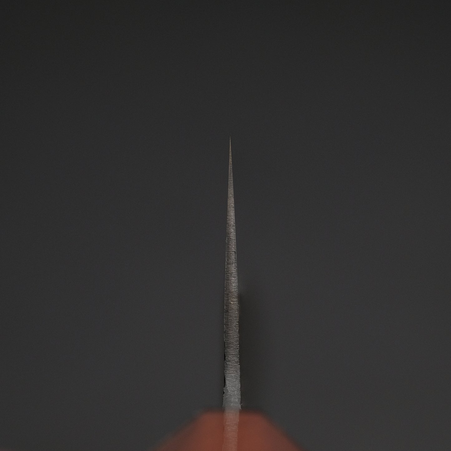 Ajikataya White #2 Nashiji Damascus Gyuto 240 Rosewood x TQP Handle (#42)