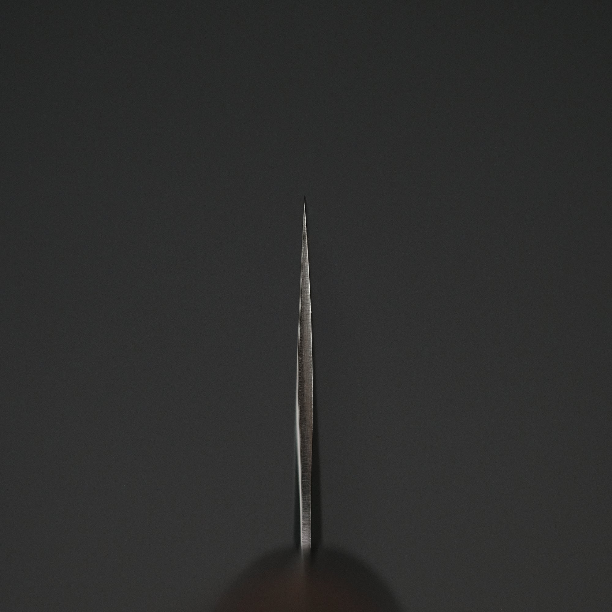 Akifusa Powder Metal Steel Gyuto 210mm Ebony Handle