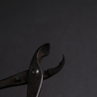 Masakuni Bonsai Tools