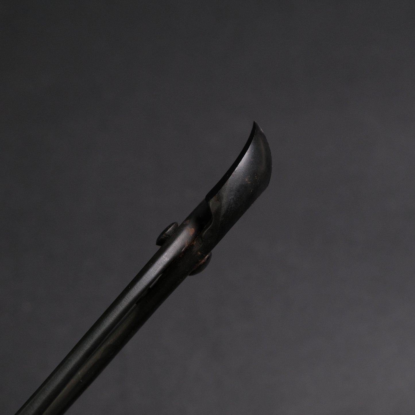 Masakuni Bonsai Tools
