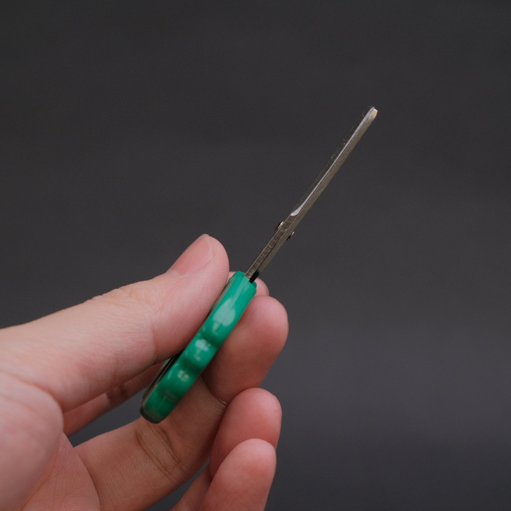 Ai &amp; Om Magnetic Carrot Shears