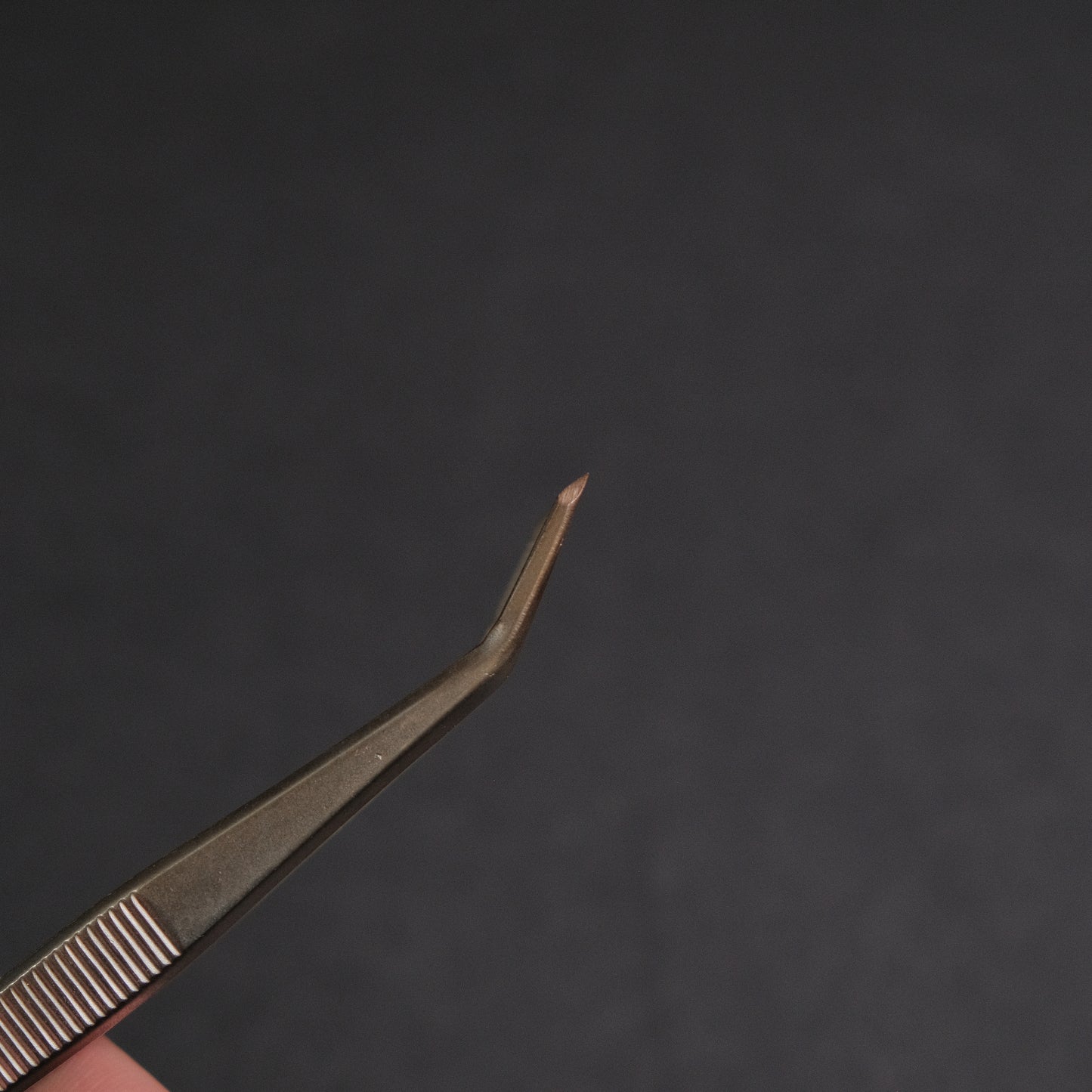 Masakuni Bonsai Tools