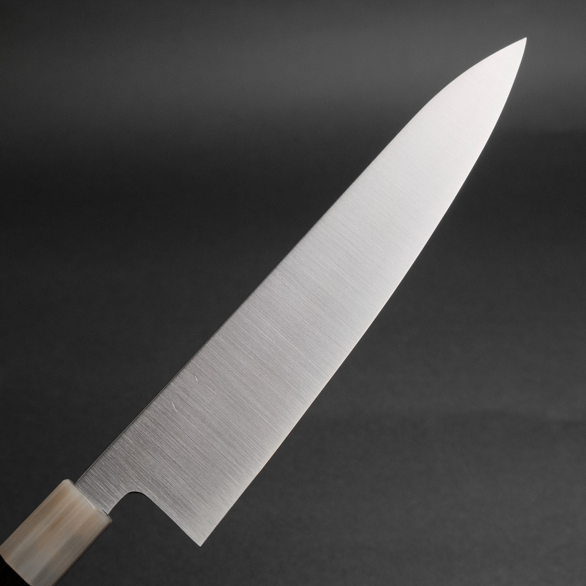 Hitohira AH Stainless Gyuto 240mm Ebony Handle