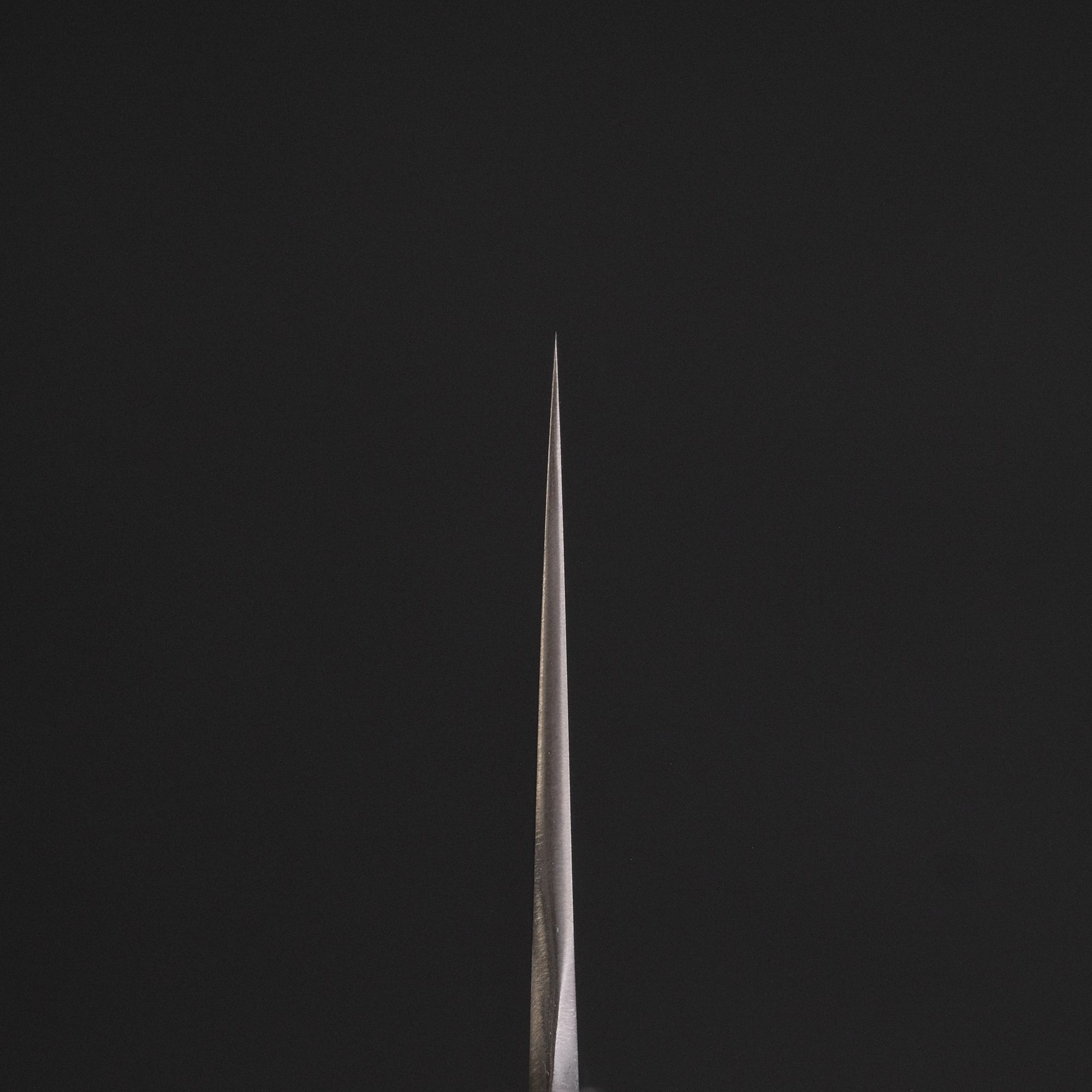 Hitohira AH Stainless Gyuto 240mm Ho Wood Handle