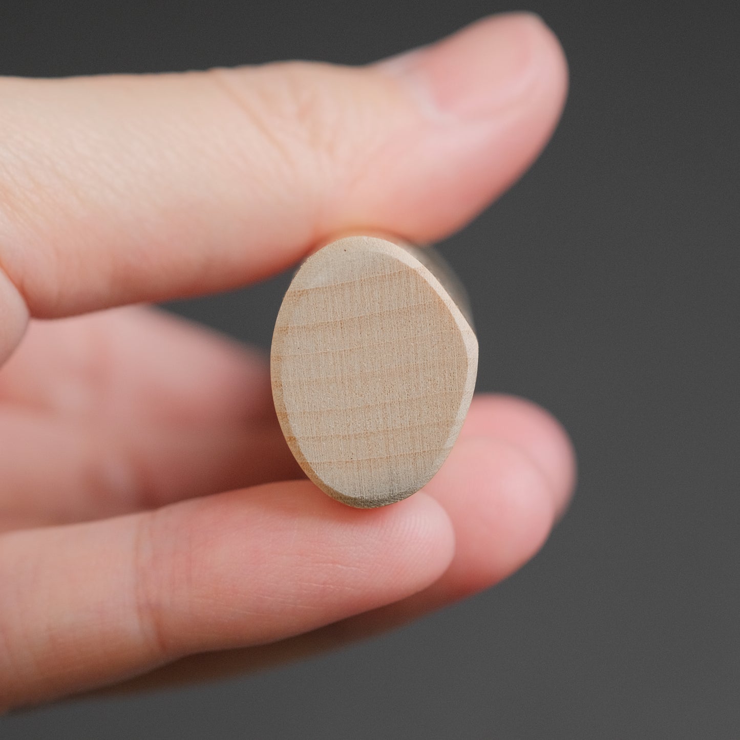 Hitohira Carbon Ajikiri 105mm Ho Wood Handle