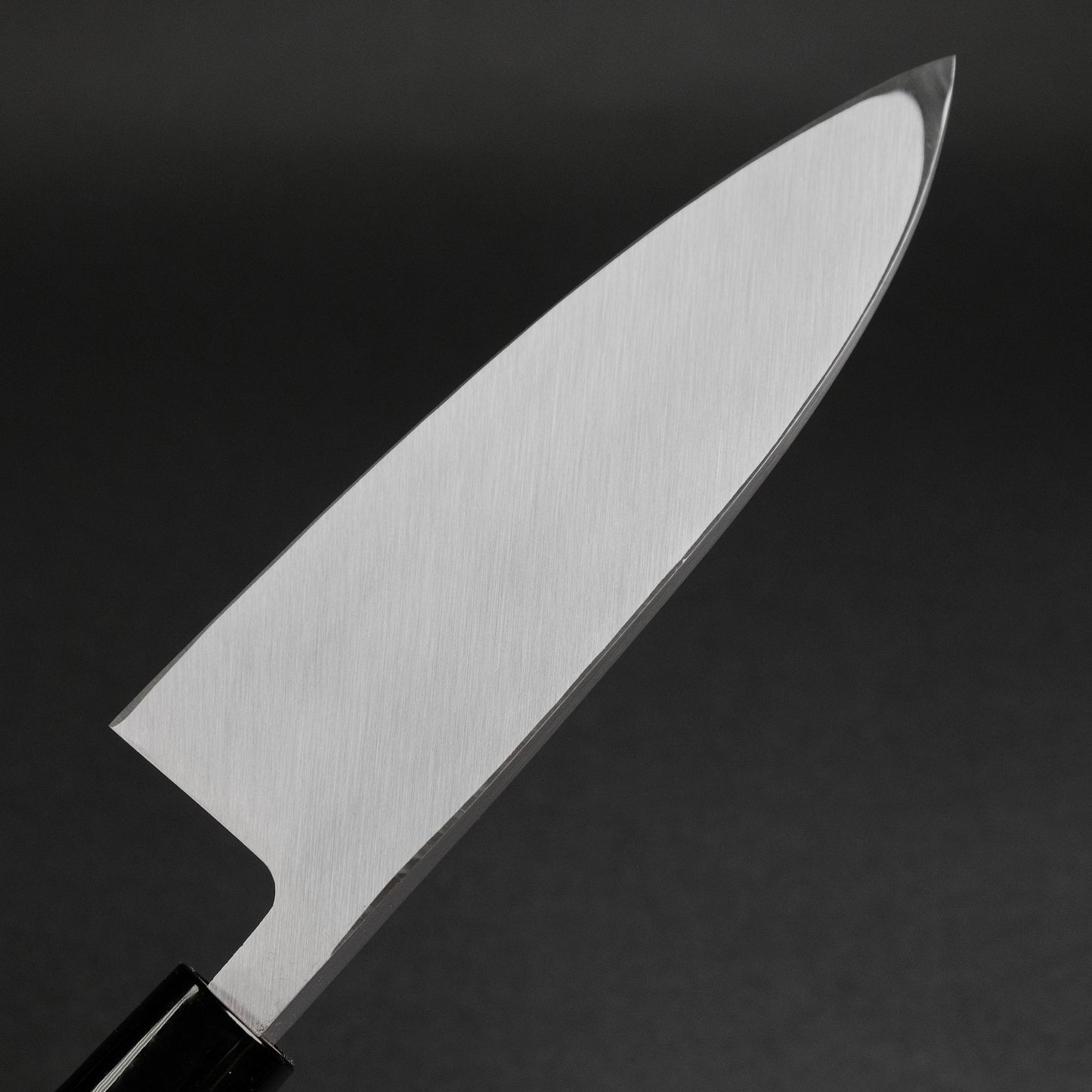 Hitohira Carbon Deba 180mm Ho Wood Handle