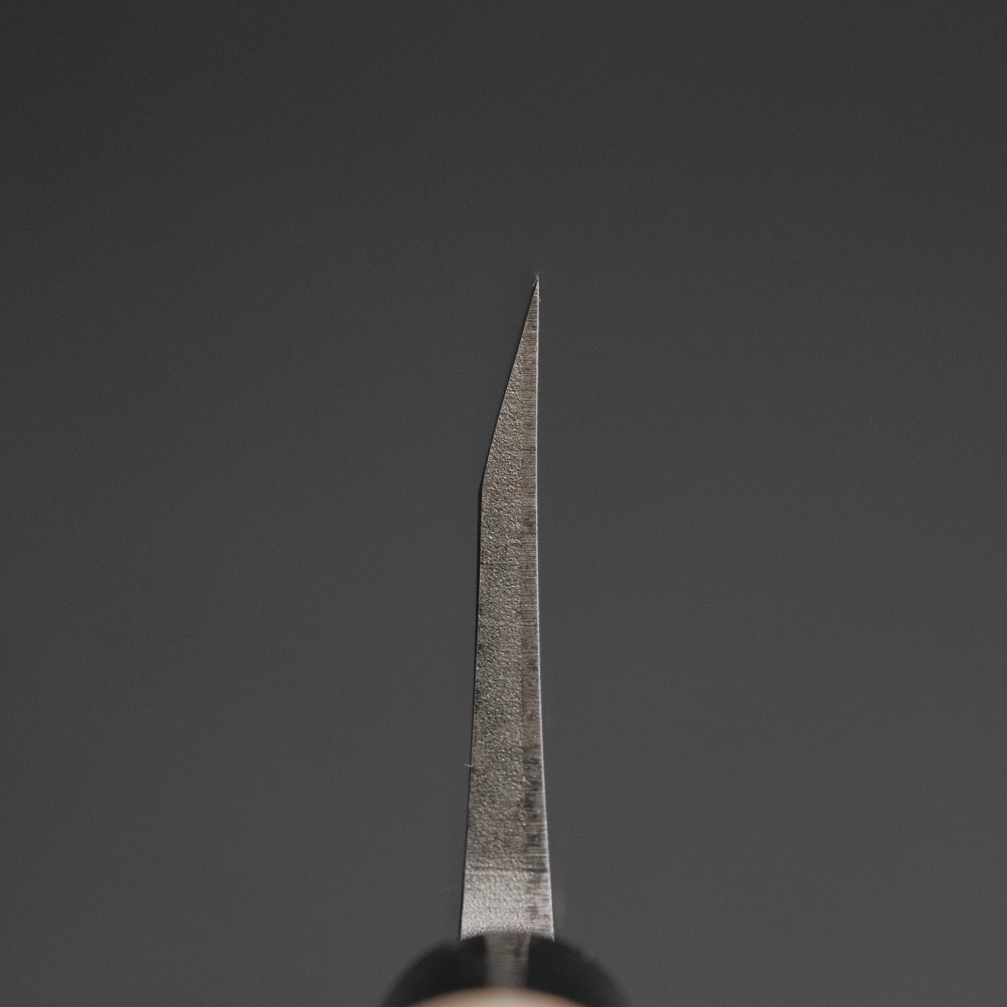 Hitohira Carbon Deba 180mm Ho Wood Handle