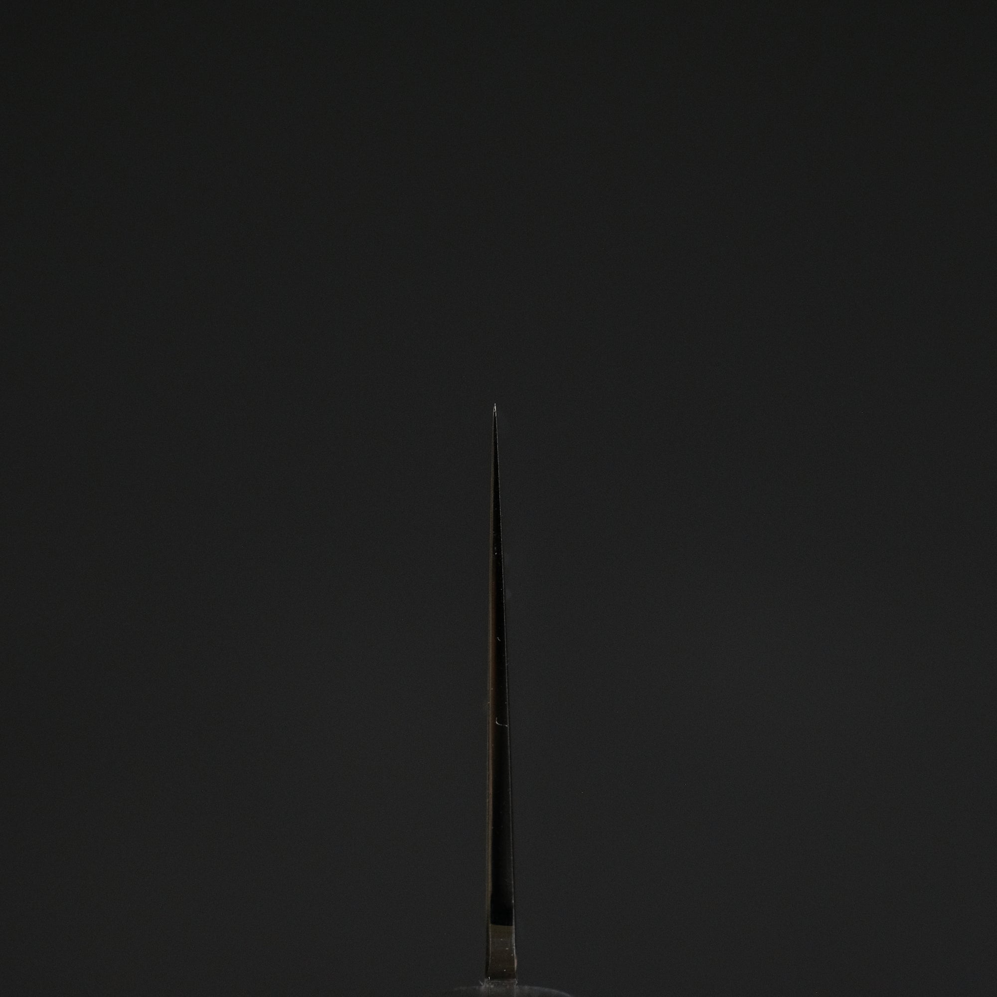 Hitohira FJ VG-10 Gyuto 210mm Pakka Handle