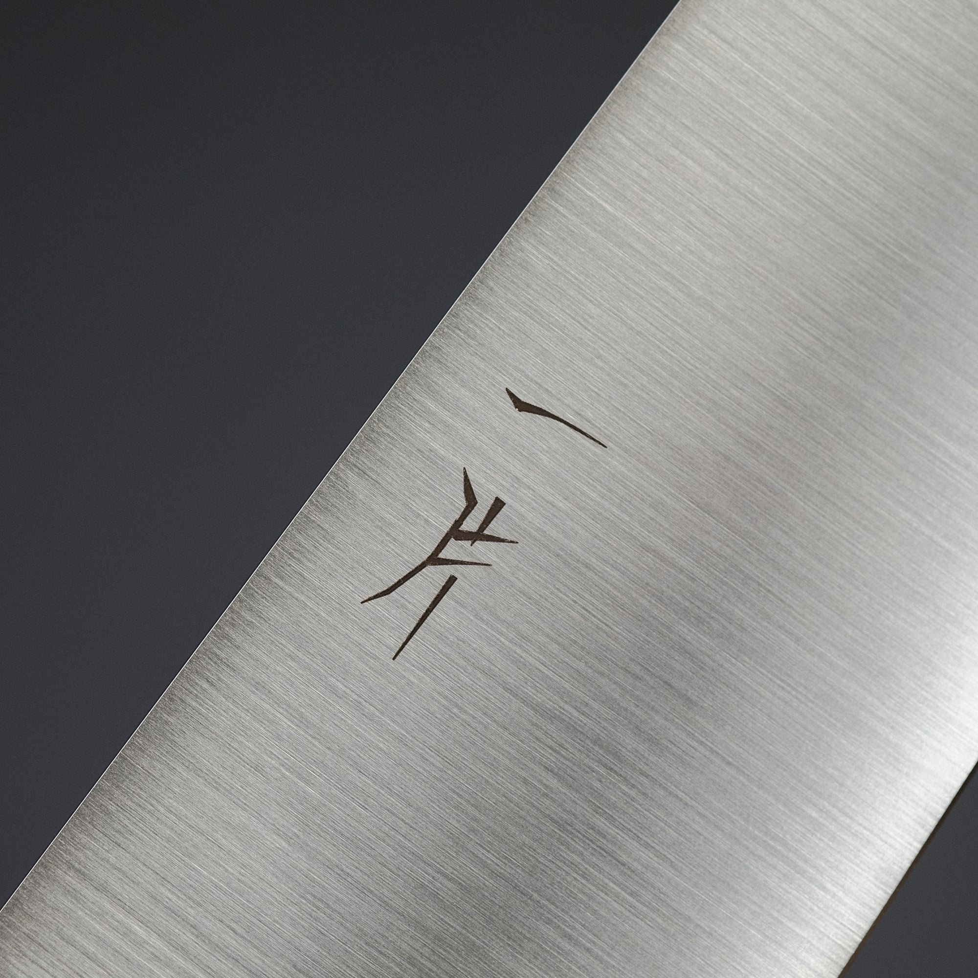 Hitohira FJ VG-10 Gyuto 240mm Ho Wood Handle (Wa)