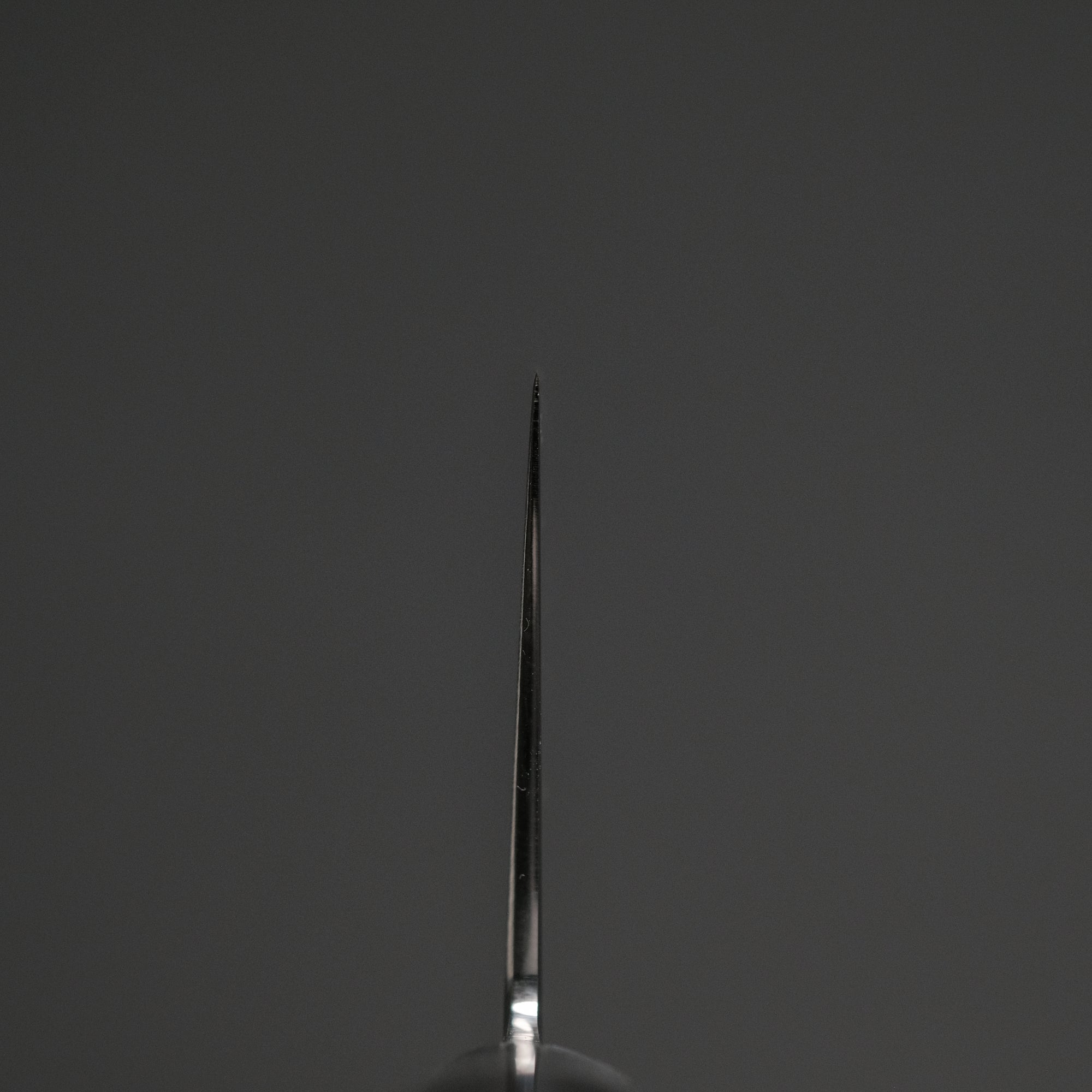 Hitohira FJ VG-10 Gyuto 240mm Pakka Handle