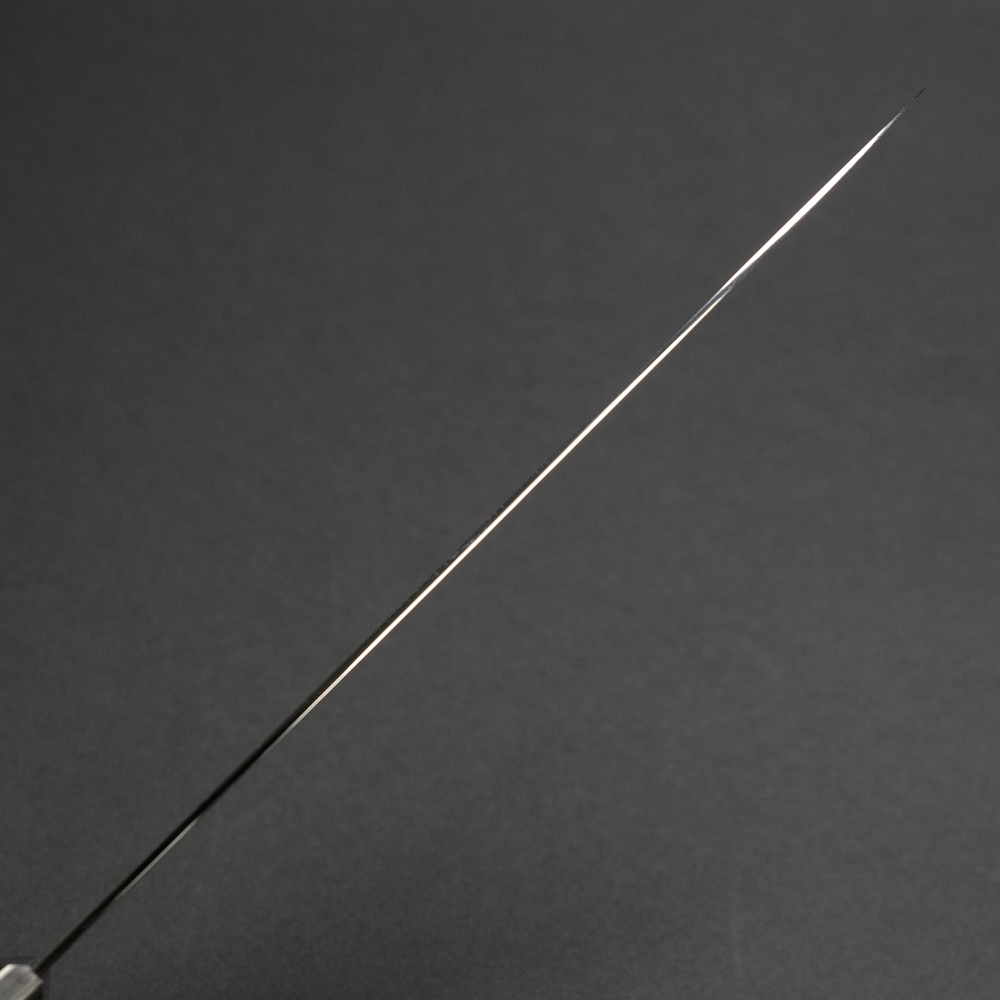Hitohira FJ VG-10 Gyuto 240mm Pakka Handle