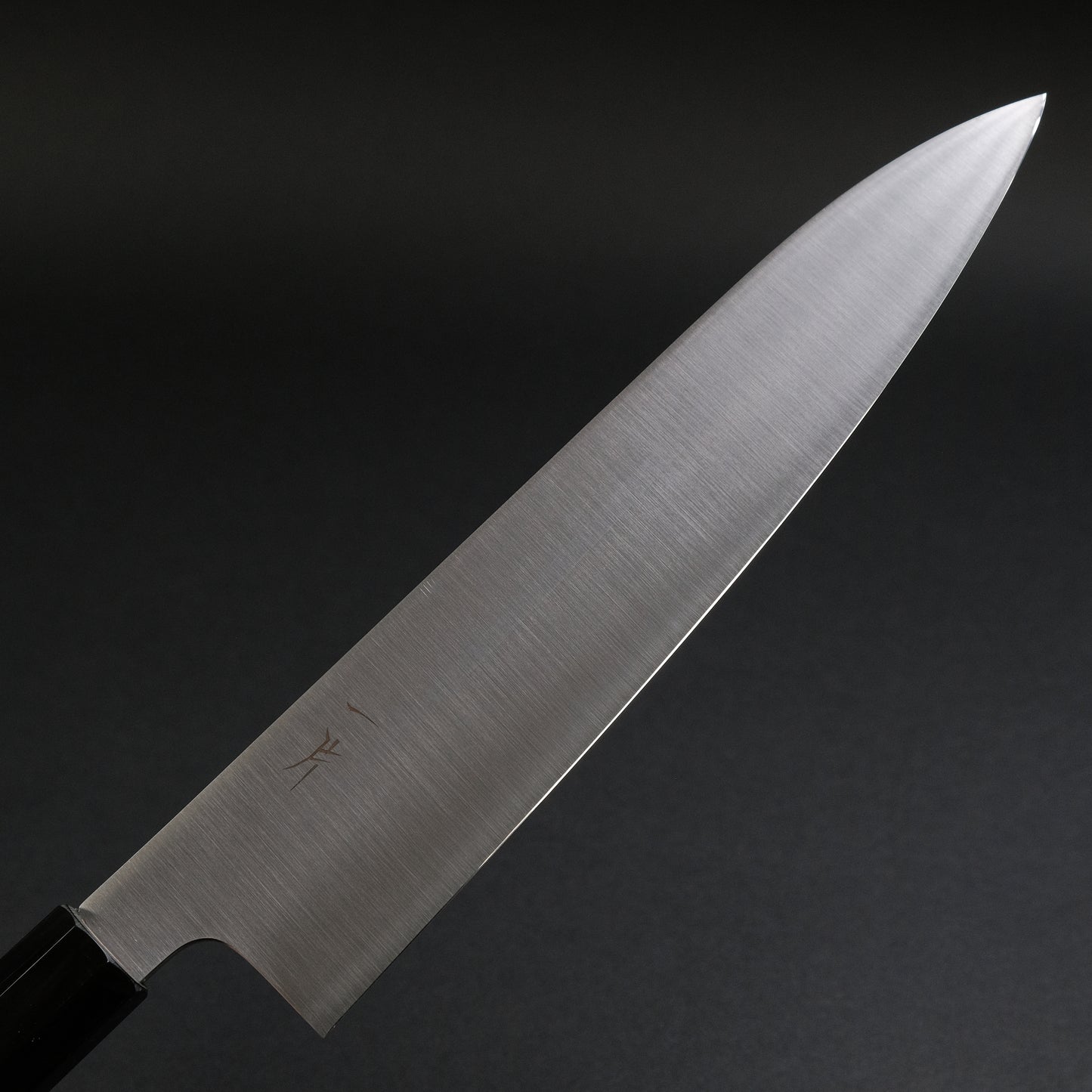 Hitohira FJ VG-10 Gyuto 240mm Taihei Ho Wood Handle (Wa)