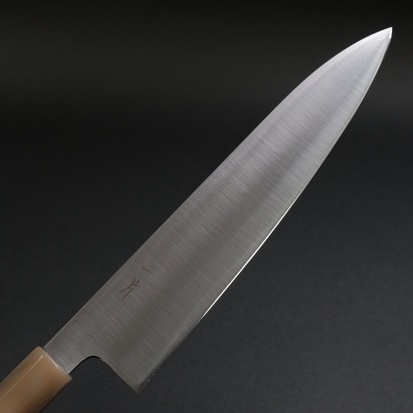 Hitohira FJ VG-10 Gyuto 240mm Taihei Ho Wood Handle (Wa)