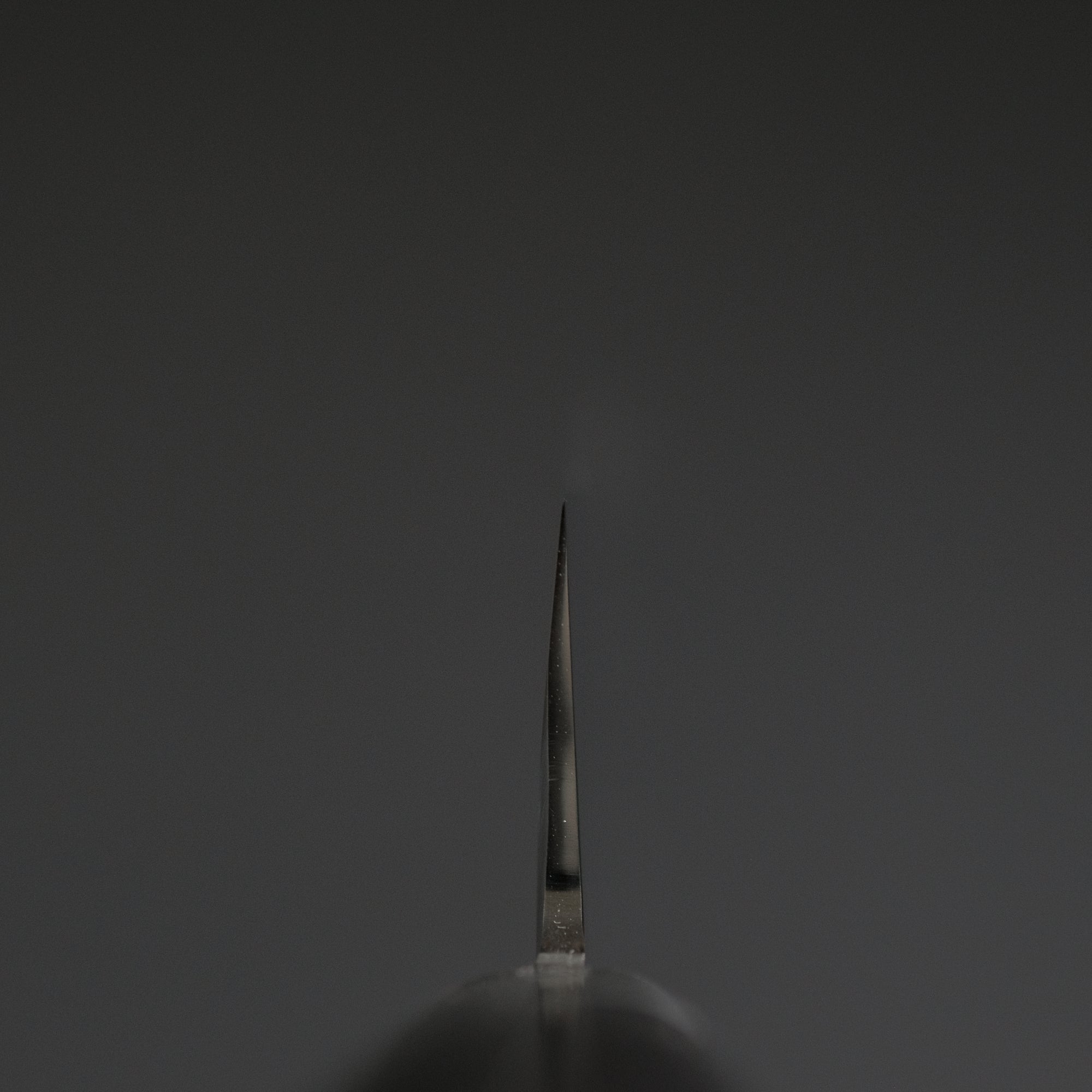 Hitohira FJ VG-10 Sujihiki 240mm Pakka Handle
