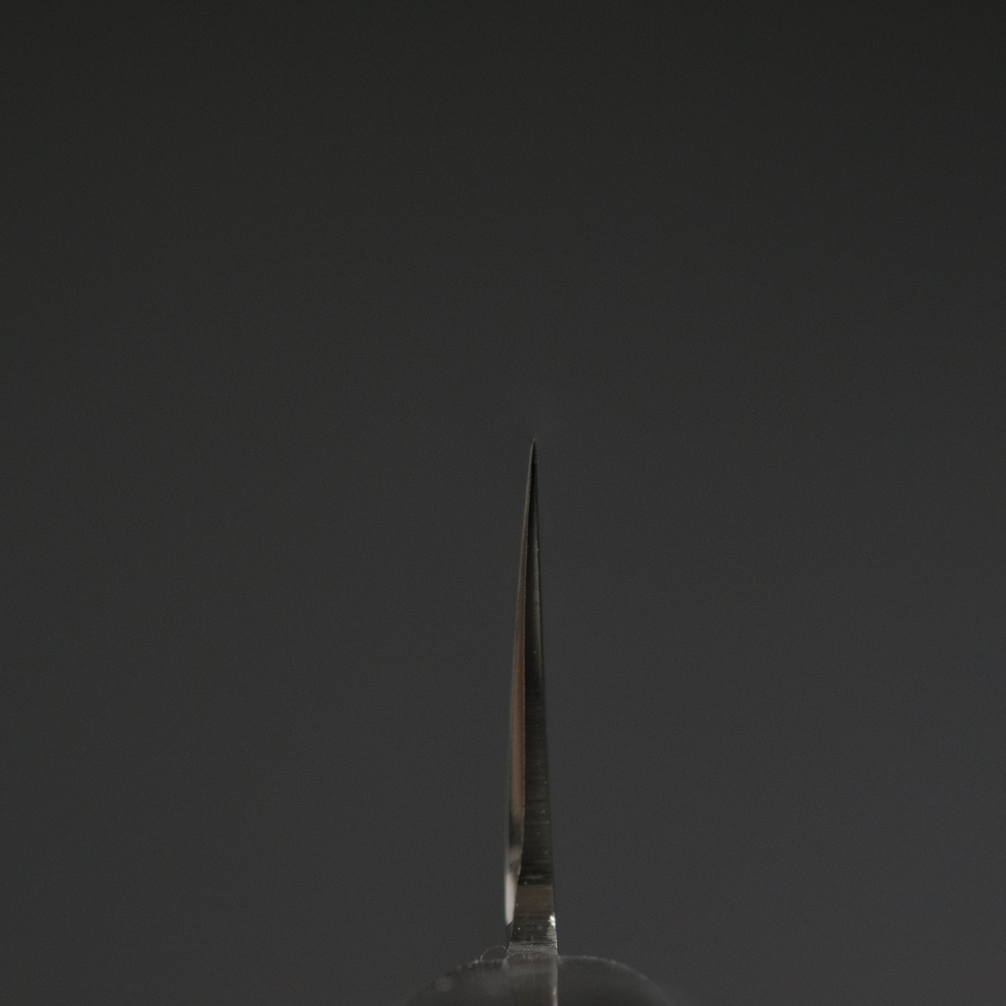 Hitohira FJ VG-10 Sujihiki 270mm Pakka Handle