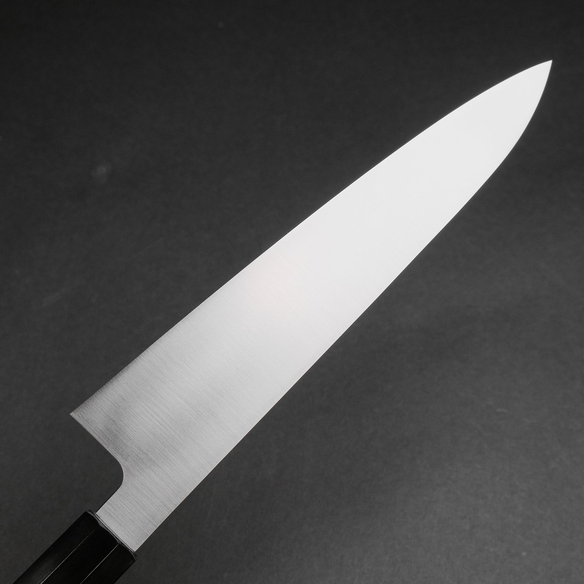 Hitohira FJ VG-10 Wa Gyuto 210mm Taihei Rosewood Handle