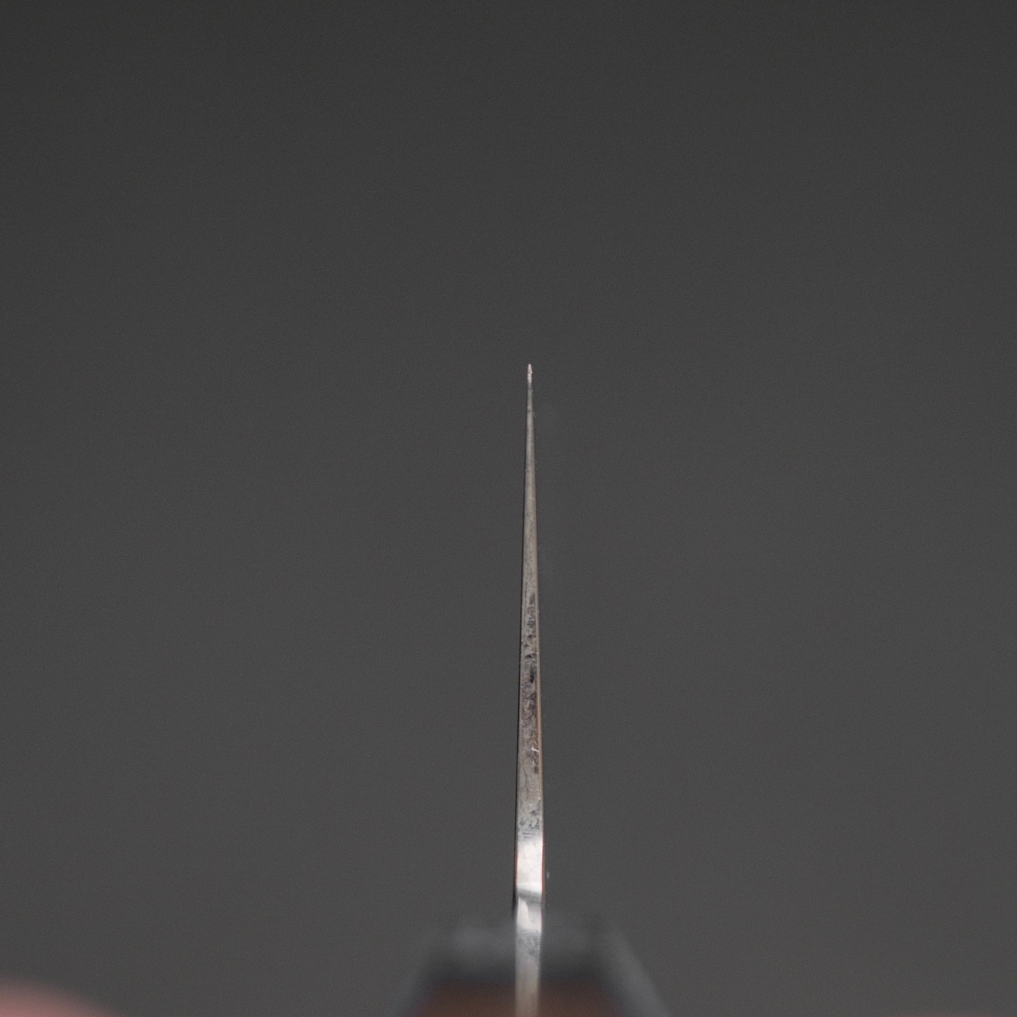 Hitohira FJ VG-10 Wa Gyuto 210mm Taihei Rosewood Handle